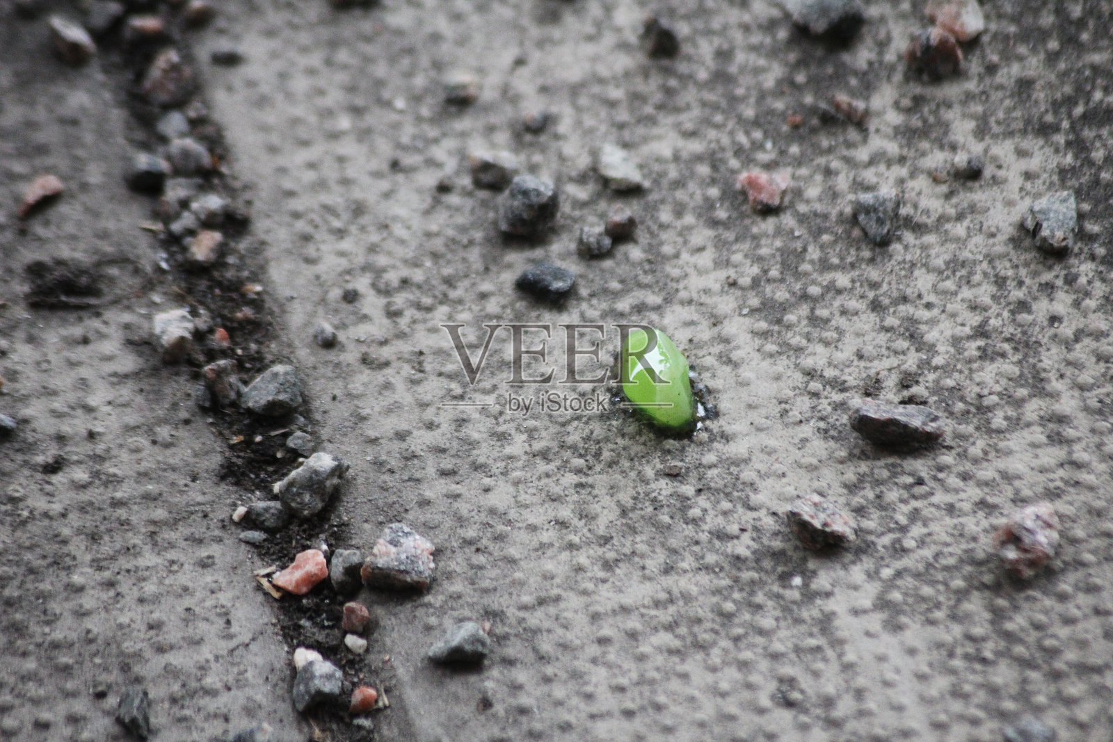 地上留着一颗绿色的糖果照片摄影图片