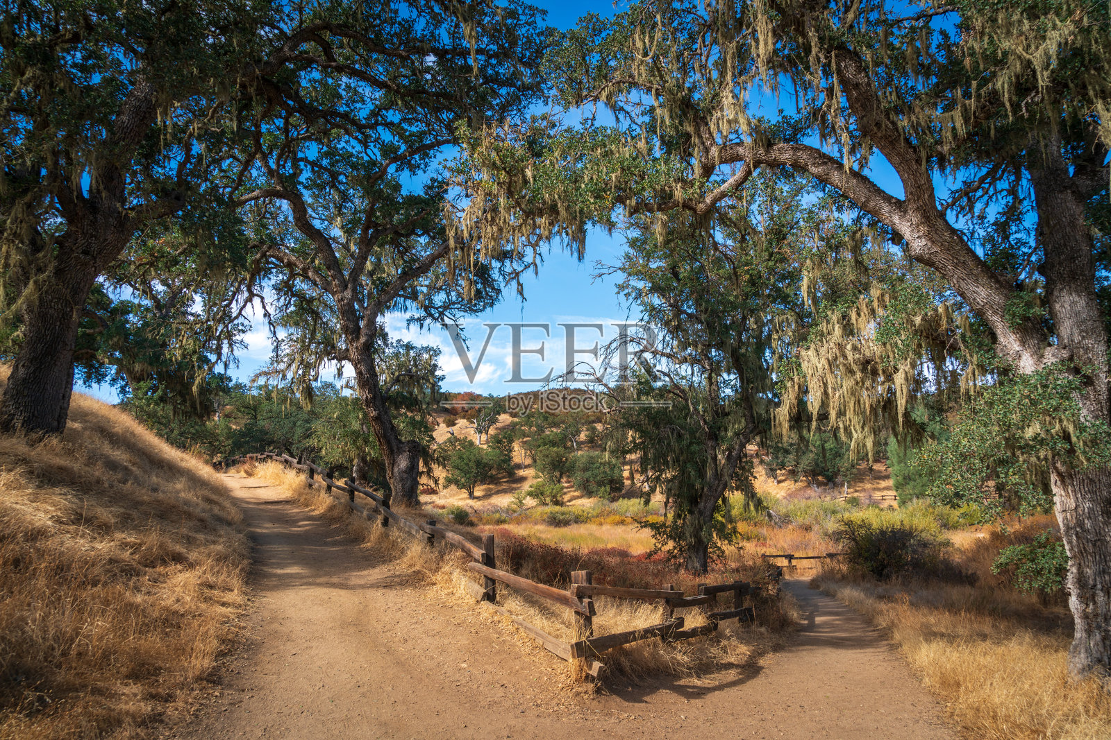 皮纳克尔国家公园的干旱小径照片摄影图片