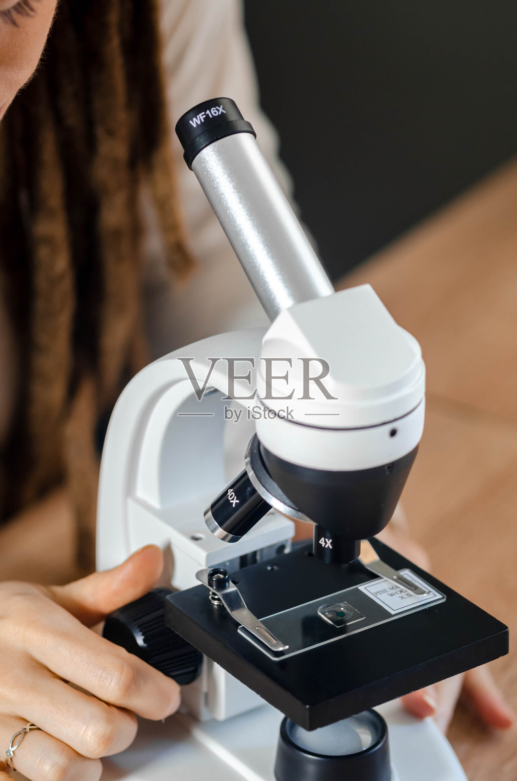 年轻女性科学家正在采集成熟松木样本。她正在为科学研究准备材料。照片摄影图片