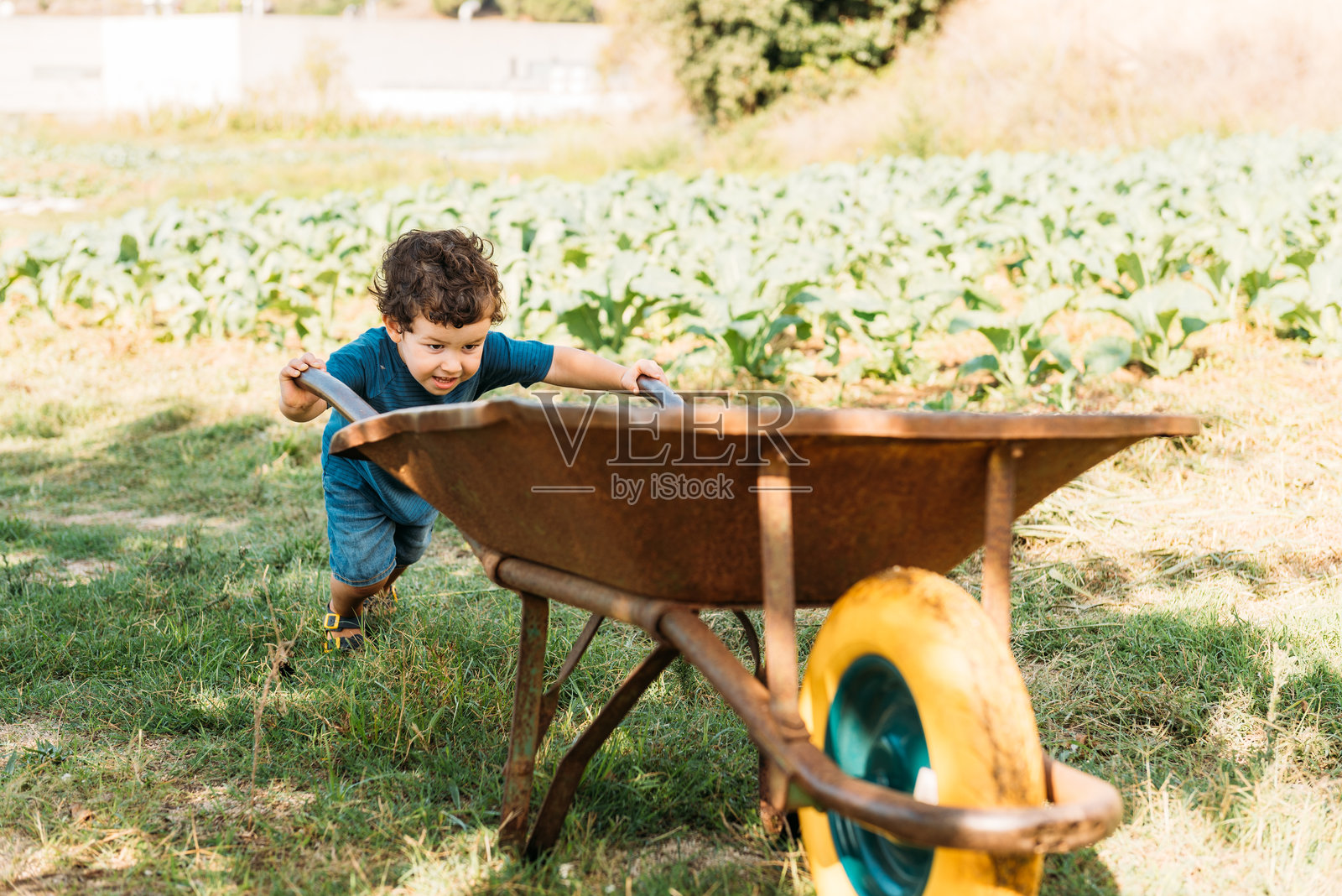 男孩在阳光明媚的田野里快乐地玩着手推车。照片摄影图片