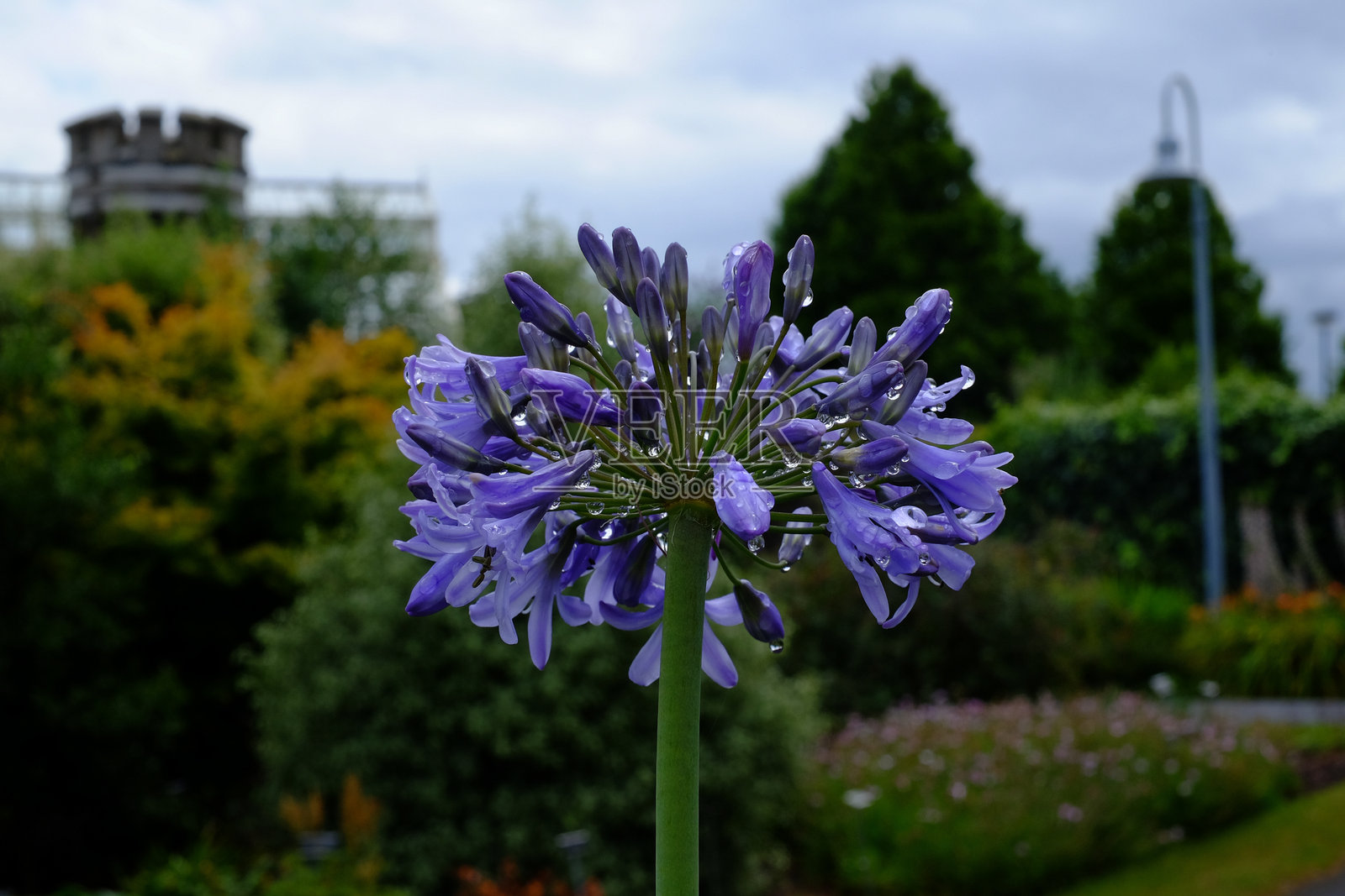 爱尔兰的风景和景观。照片摄影图片