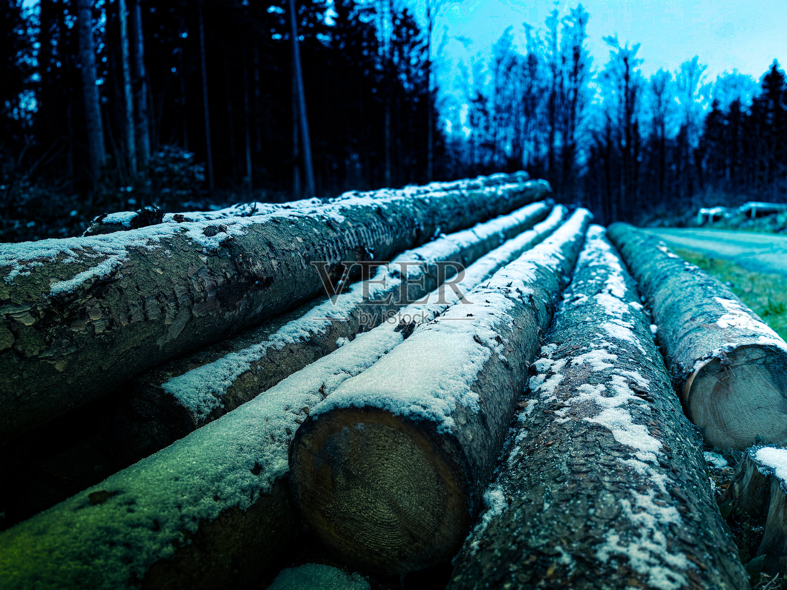 雪中的木材原木照片摄影图片