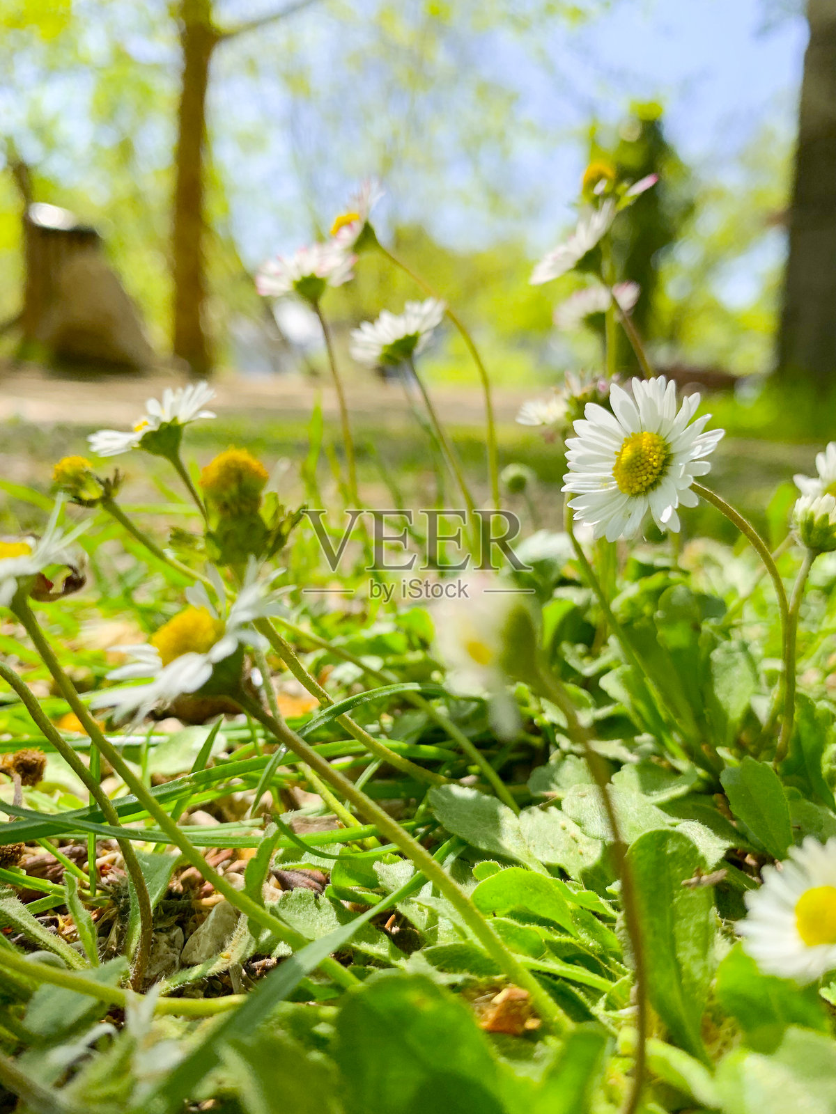 波斯尼亚和黑塞哥维那及其自然风光照片摄影图片