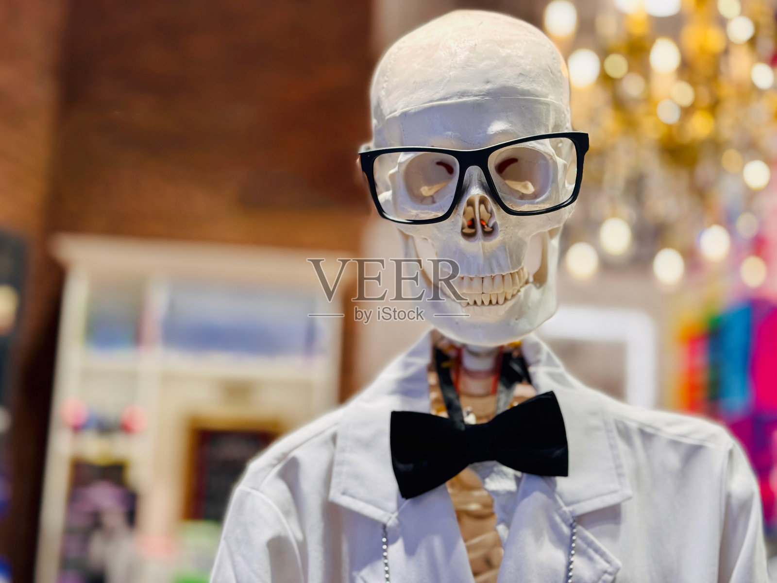 戴眼镜和蝴蝶结的骷髅人台照片摄影图片