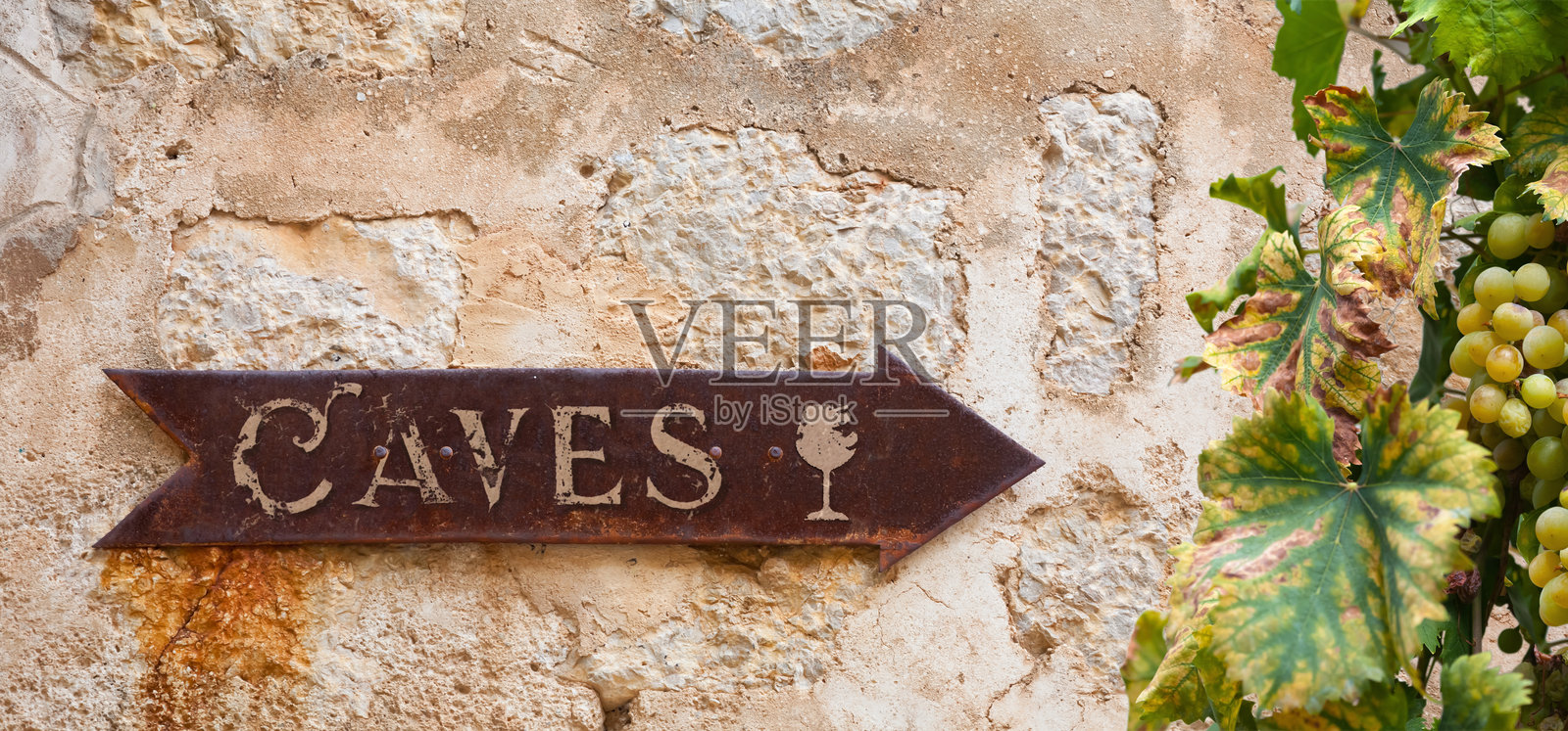 法国葡萄园内的旧手写箭头标志,指向酒窖的葡萄酒品尝和购买,旁边有霞多丽葡萄藤。照片摄影图片