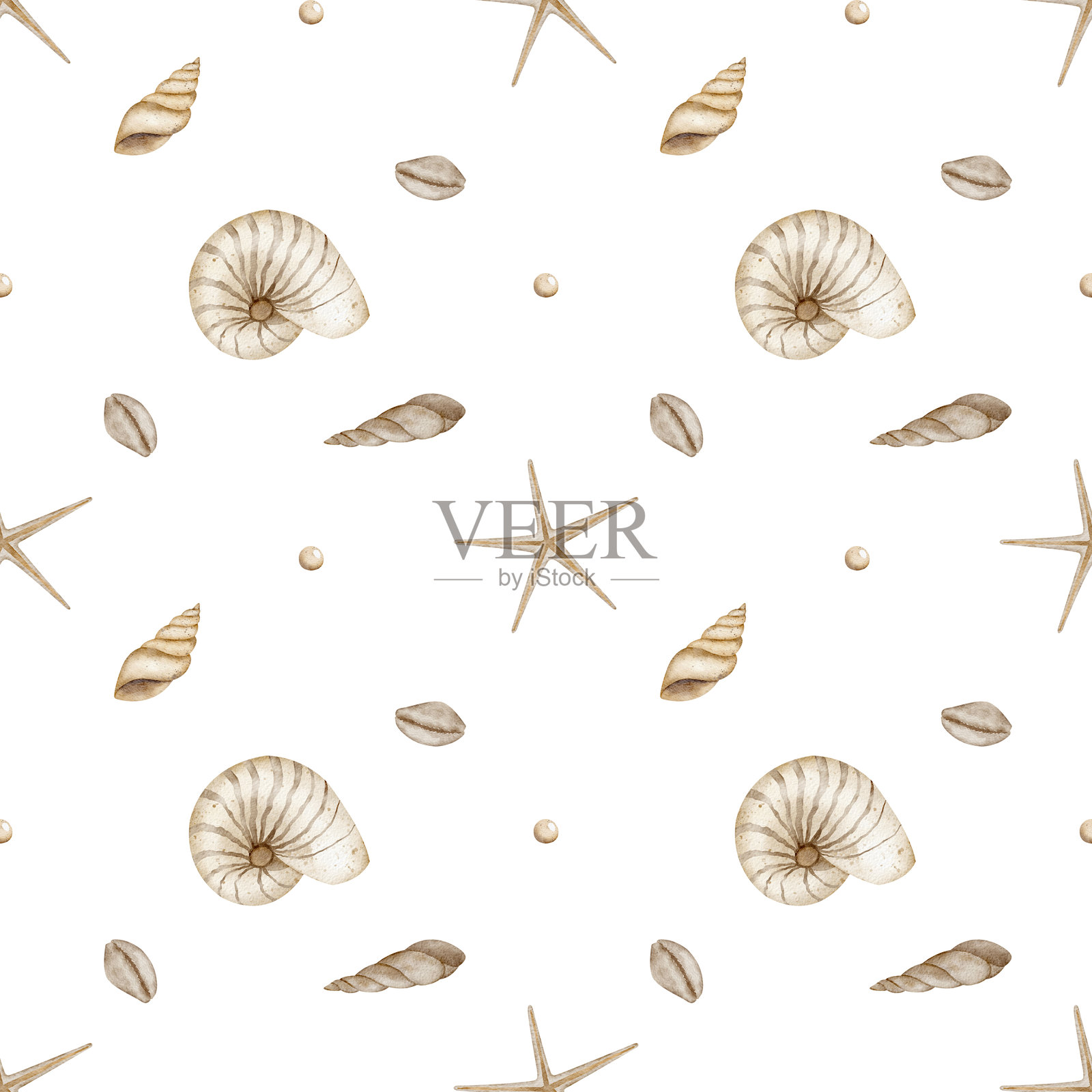 米色海贝单色图案无缝。水彩海洋印花复古。手绘插图的海星和螺旋,采用柔和色调,适用于纺织设计、面料包装、服装和壁纸。插画图片素材