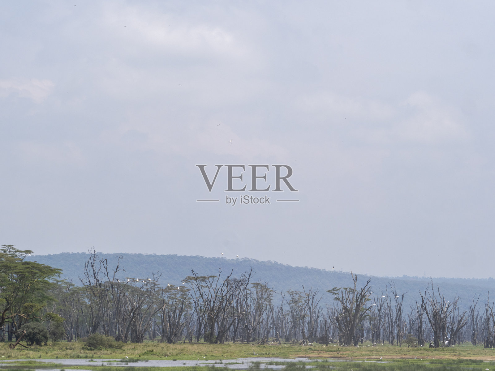 水的背景照片摄影图片