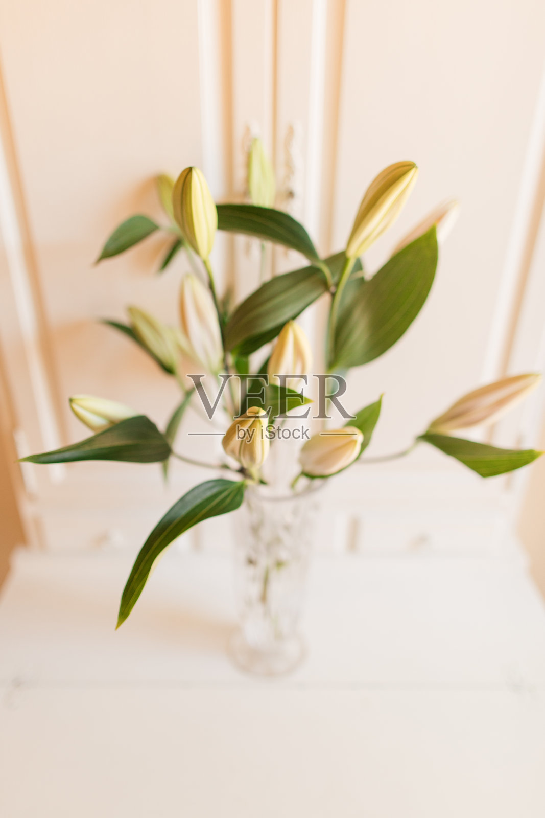 白色和亮粉色的复活节百合花在复古水晶花瓶中,背景为白色照片摄影图片