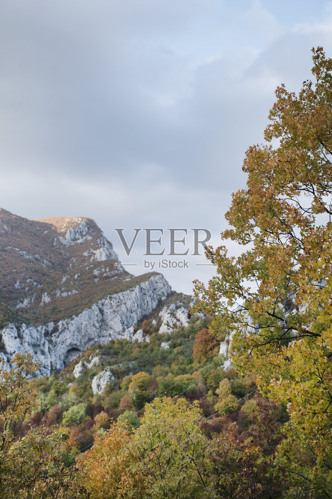 美丽的秋季风景,岩石与树木相映成趣照片摄影图片