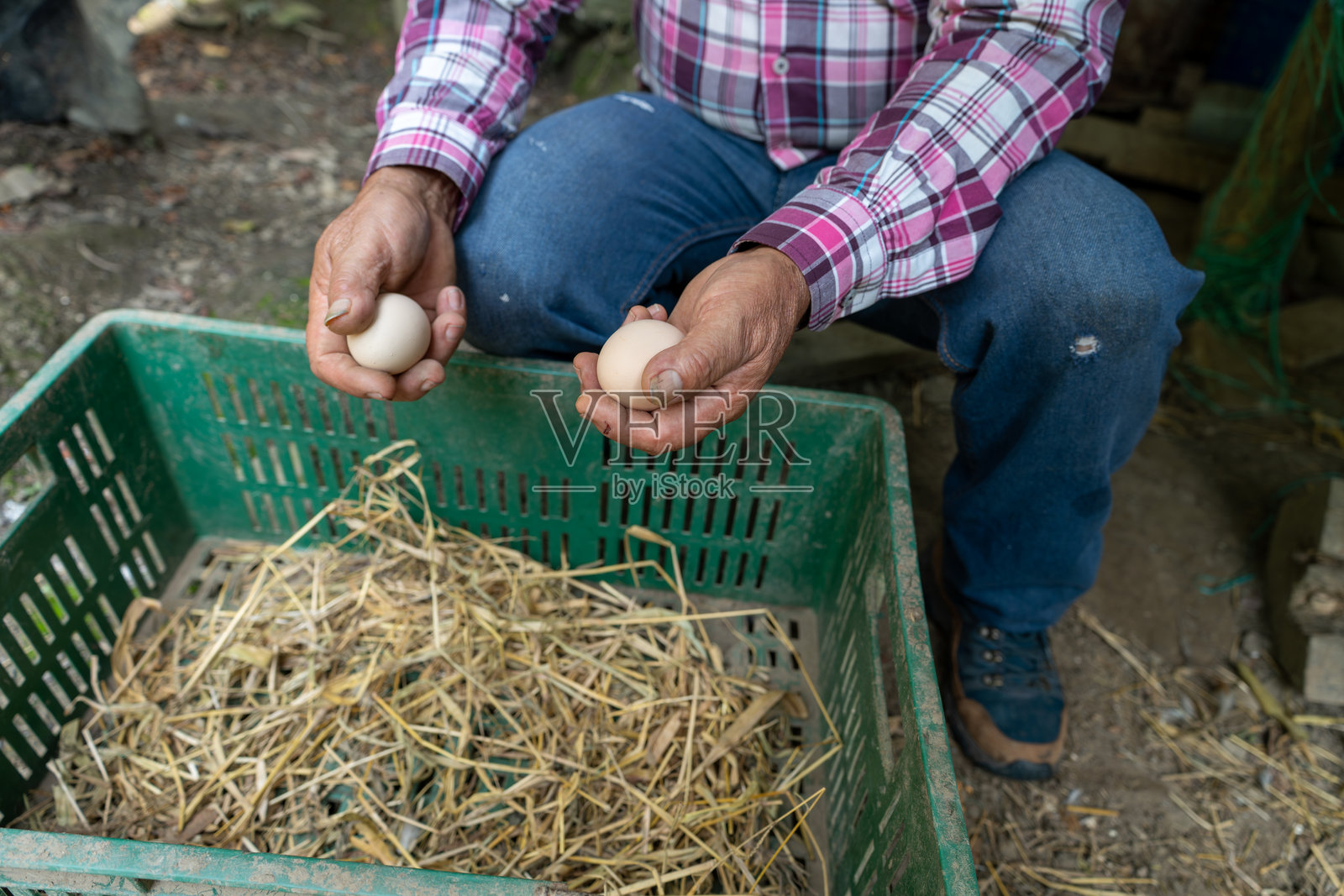 农民的手在有机农场收集新鲜鸡蛋的特写镜头照片摄影图片