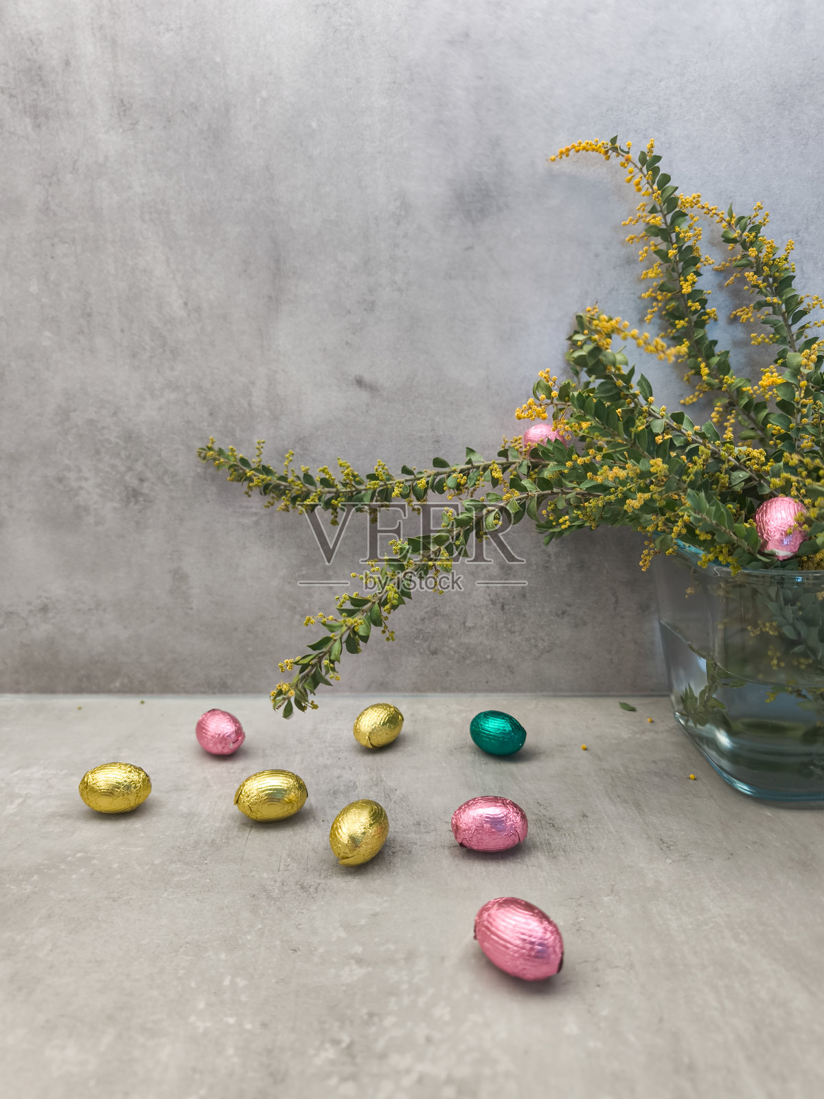 巧克力复活节彩蛋散落在桌子上,旁边有米莫萨花,灰色背景留白。照片摄影图片