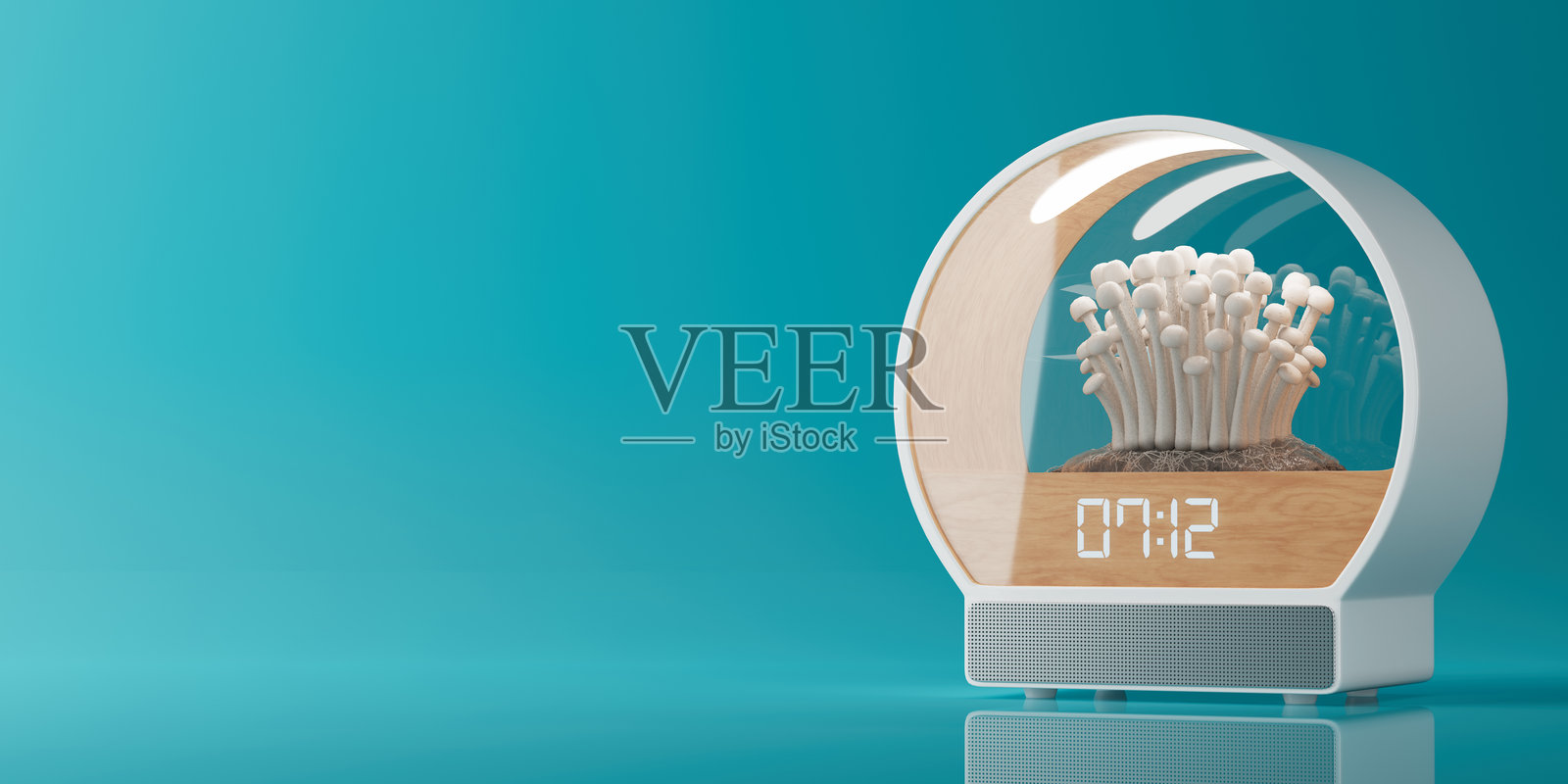 带玻璃灯泡的桌面时钟,用于种植紫菜菇和扬声器。3D渲染图照片摄影图片