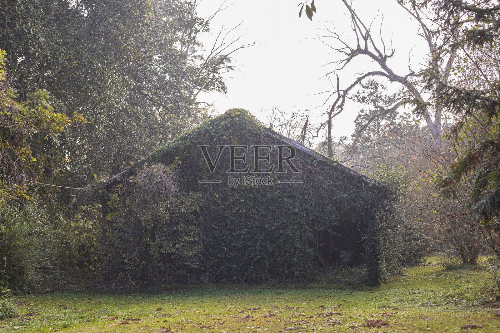 51号公路上的废弃建筑照片摄影图片