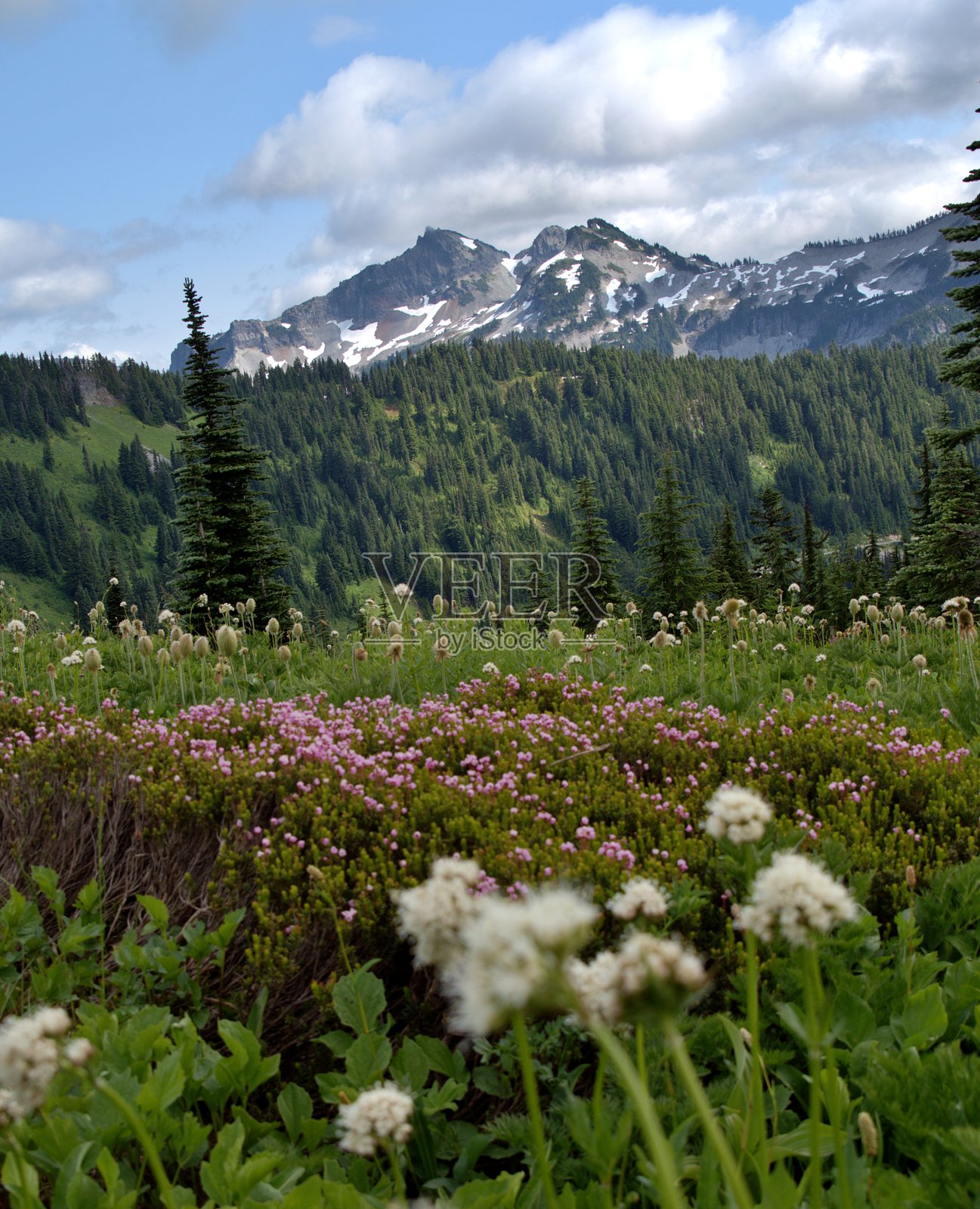 阿尔卑斯山的层次照片摄影图片