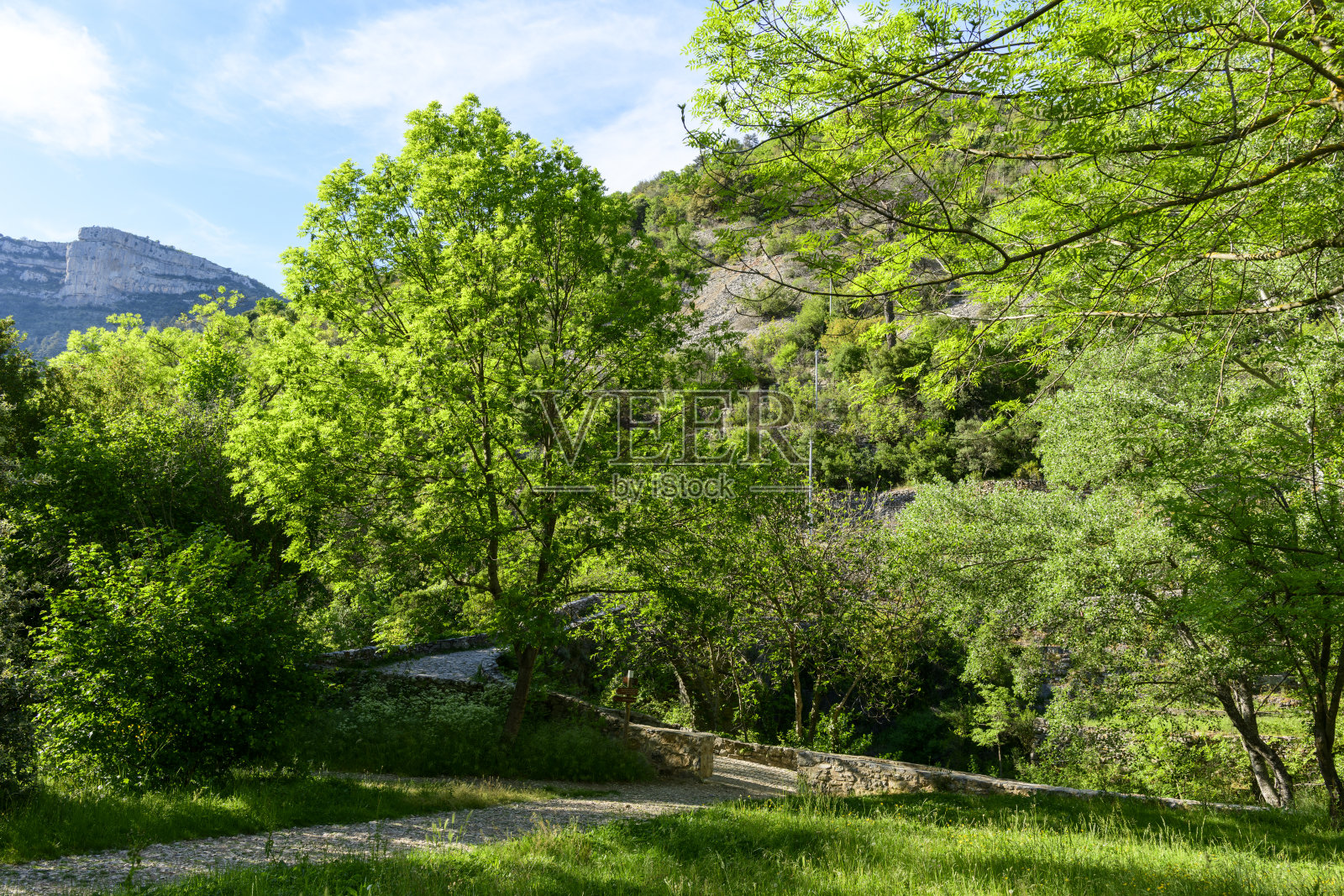法国奥克西塔尼大区埃罗省纳瓦塞尔的花园,夏季阳光明媚的日子。照片摄影图片