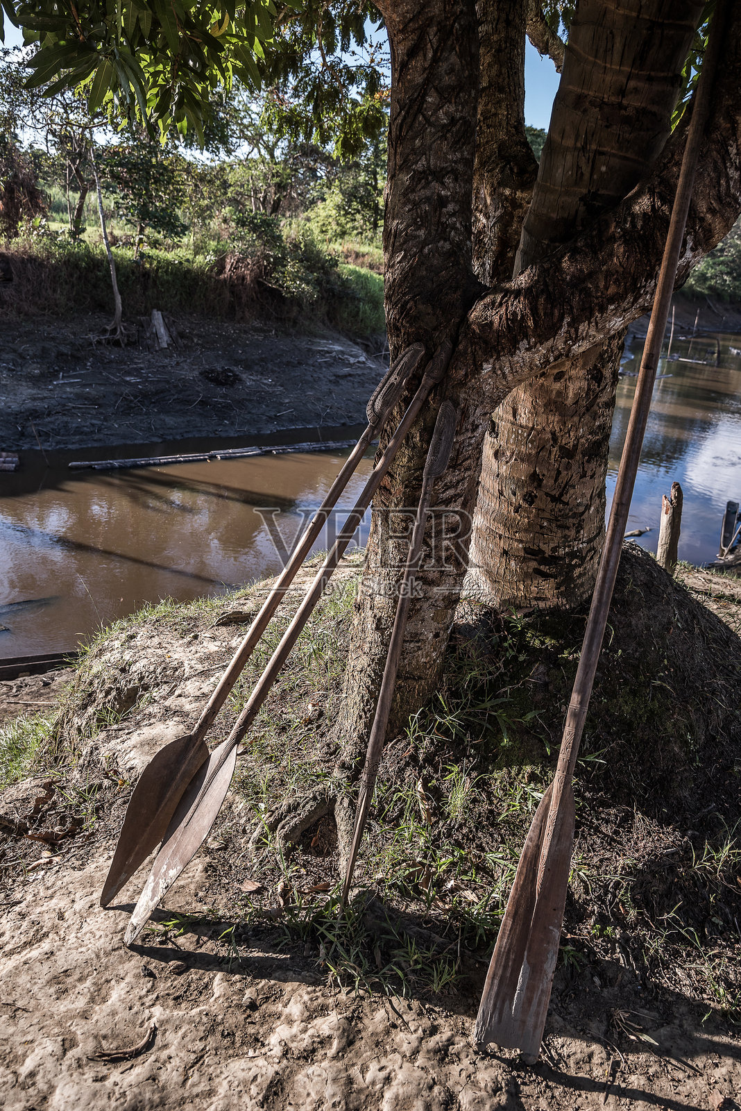 巴布亚新几内亚 - 塞皮克地区照片摄影图片
