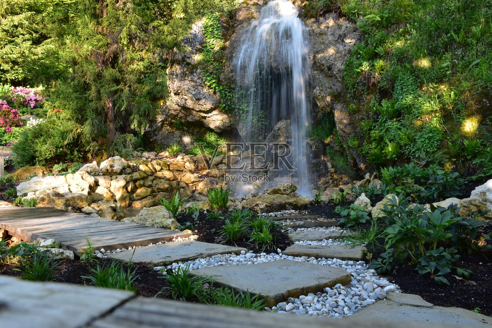 春天照片摄影图片