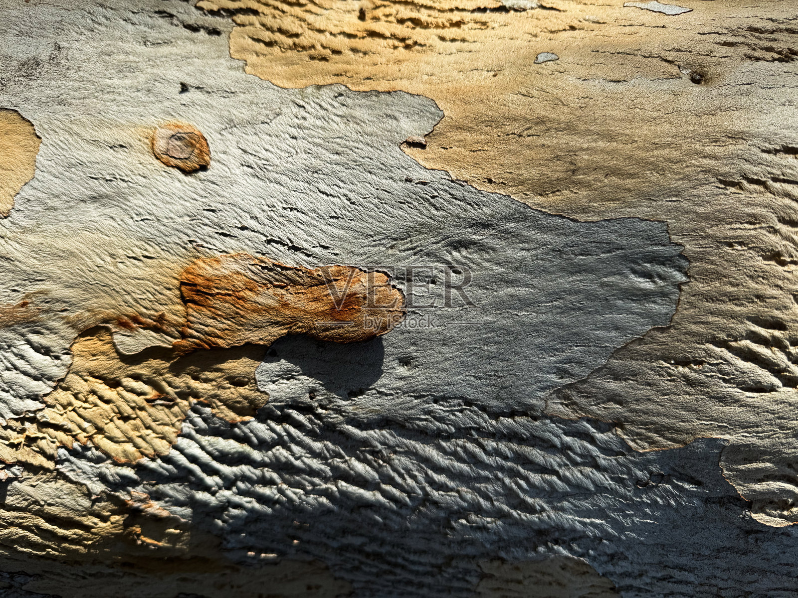 展示自然图案和色彩的风化木材表面的艺术纹理照片摄影图片