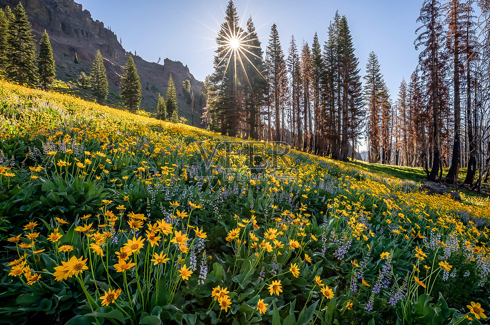 田野与天空的美丽景色照片摄影图片