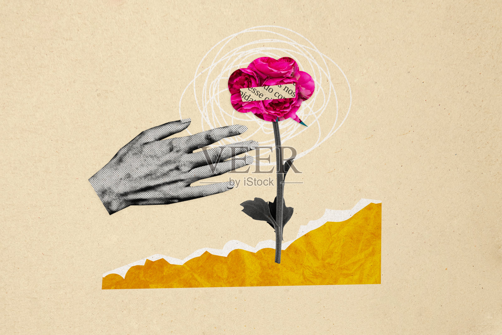 园丁手部护理牡丹花植物的拼贴照片,花卉工作者在保护环境的背景下,孤立于涂漆背景上。照片摄影图片