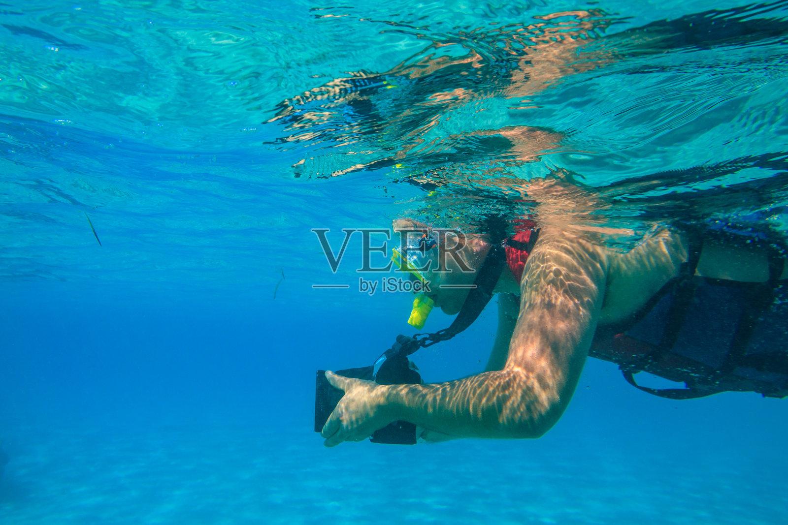 在埃及红海的珊瑚礁下,拿着相机的男子正在拍照和潜水。照片摄影图片