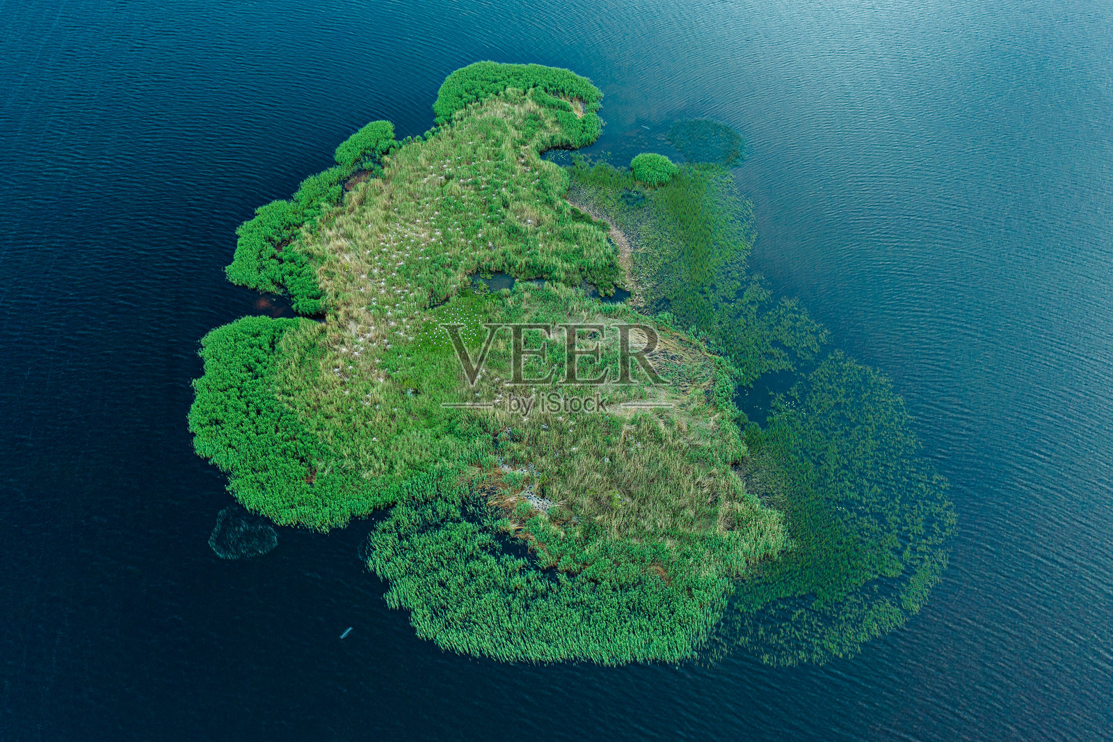 河中的小岛照片摄影图片