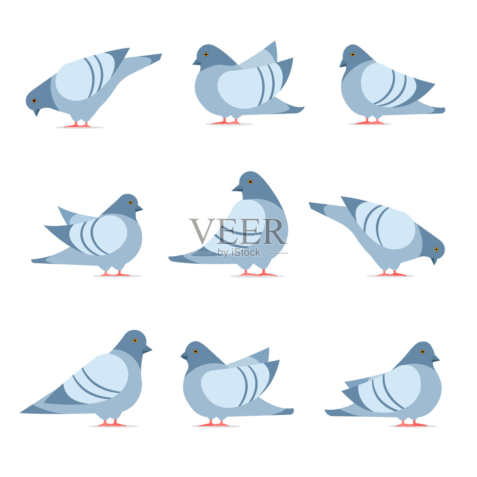 鸽子图标集插画图片素材