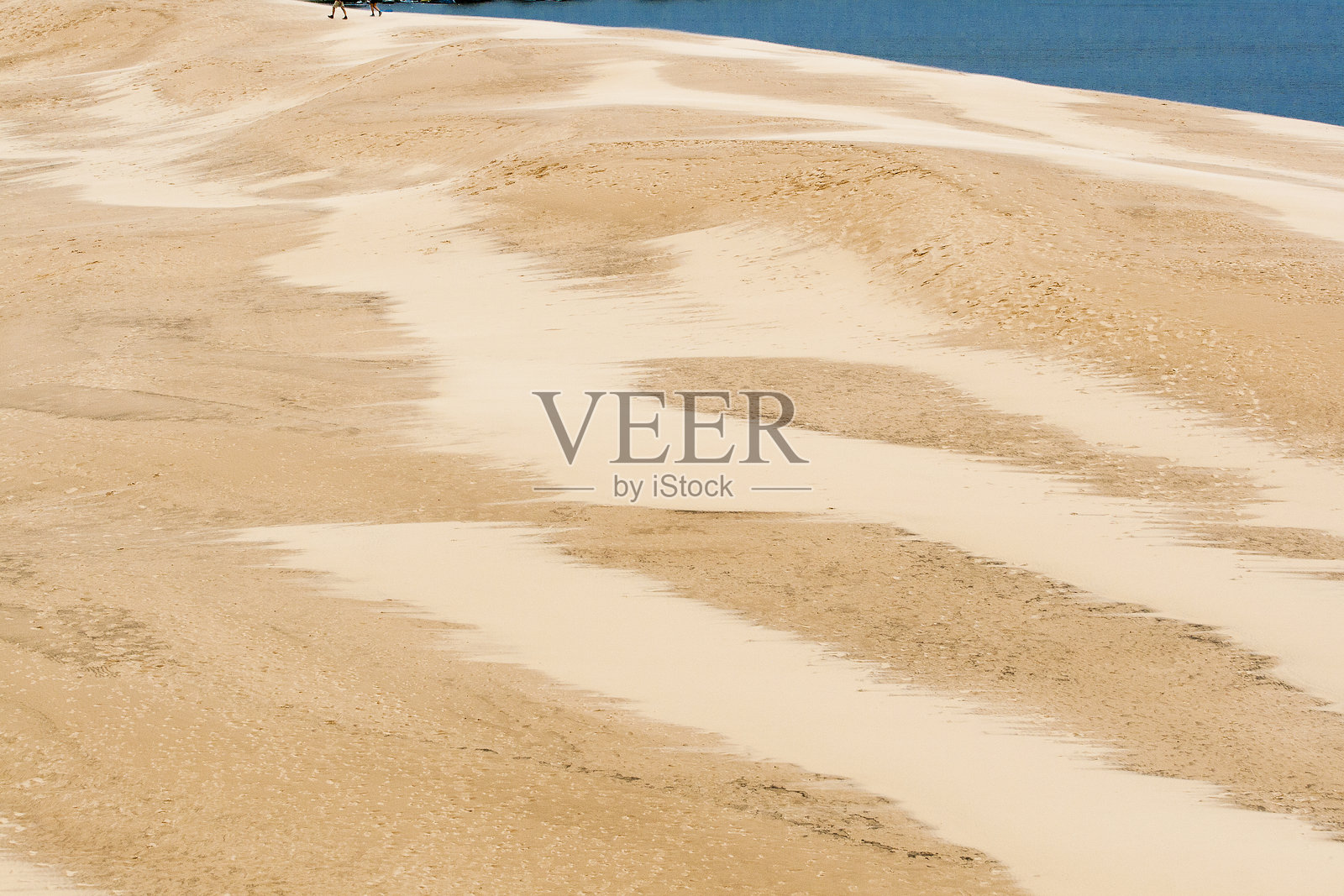 密歇根州银湖州立公园的沙丘照片摄影图片