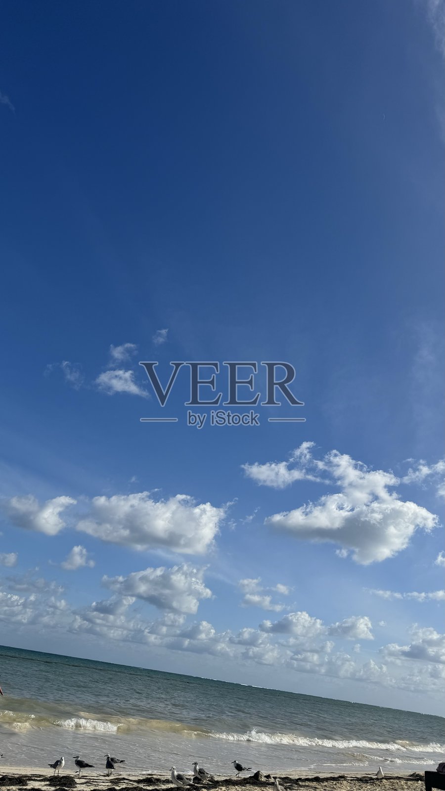 墨西哥照片摄影图片