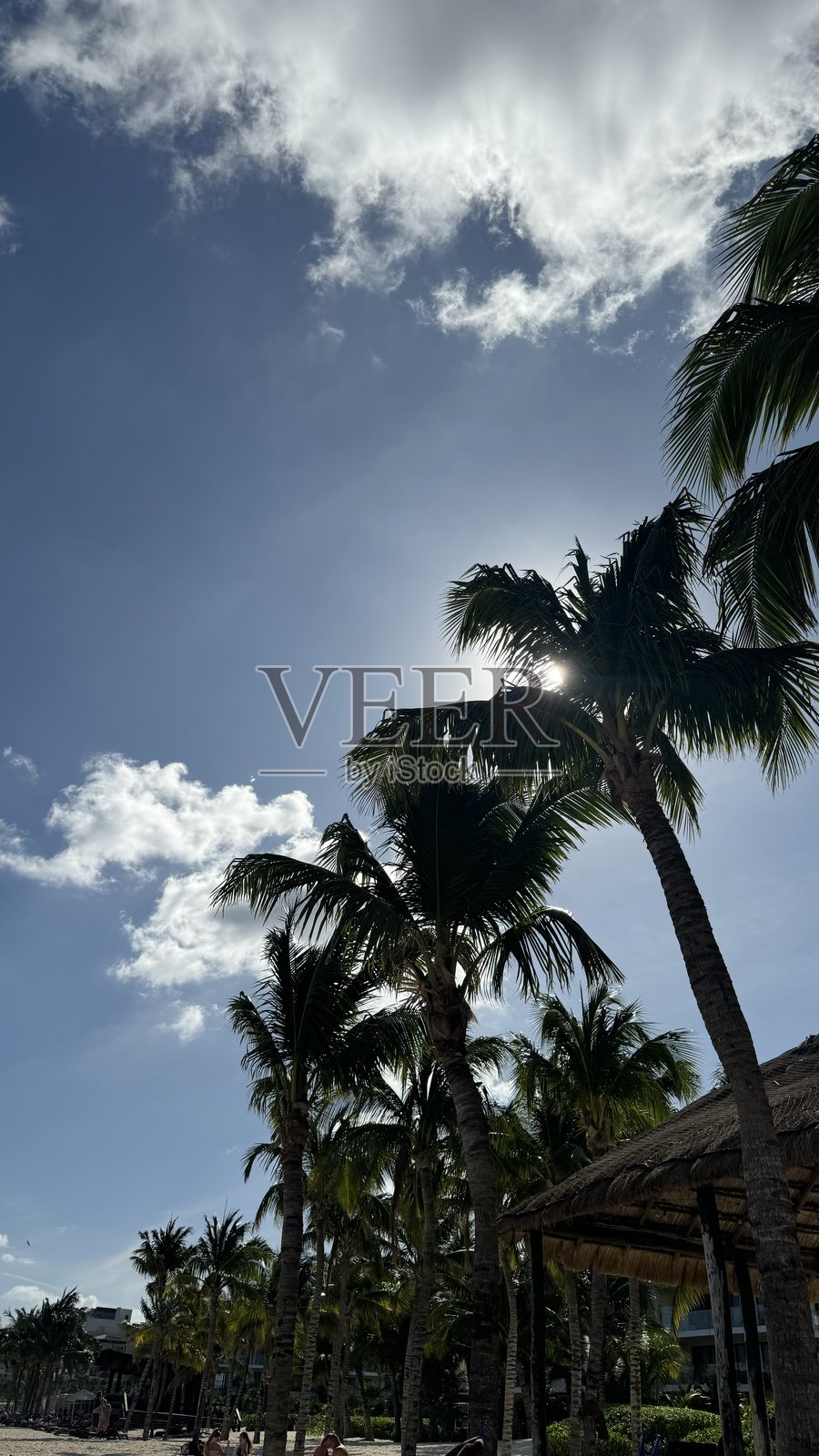 墨西哥照片摄影图片