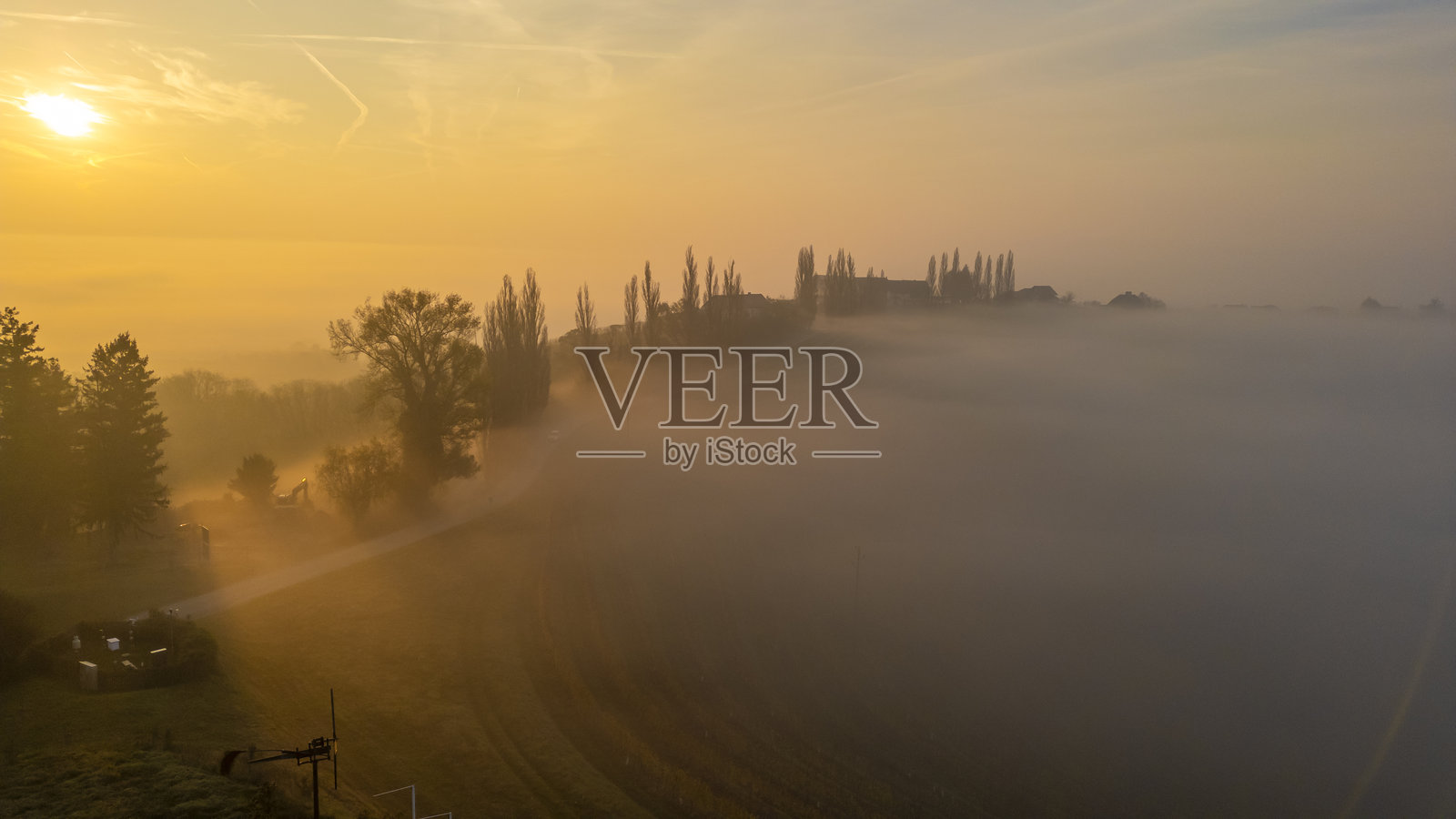 辉煌的日出照亮了雾气弥漫的葡萄园照片摄影图片