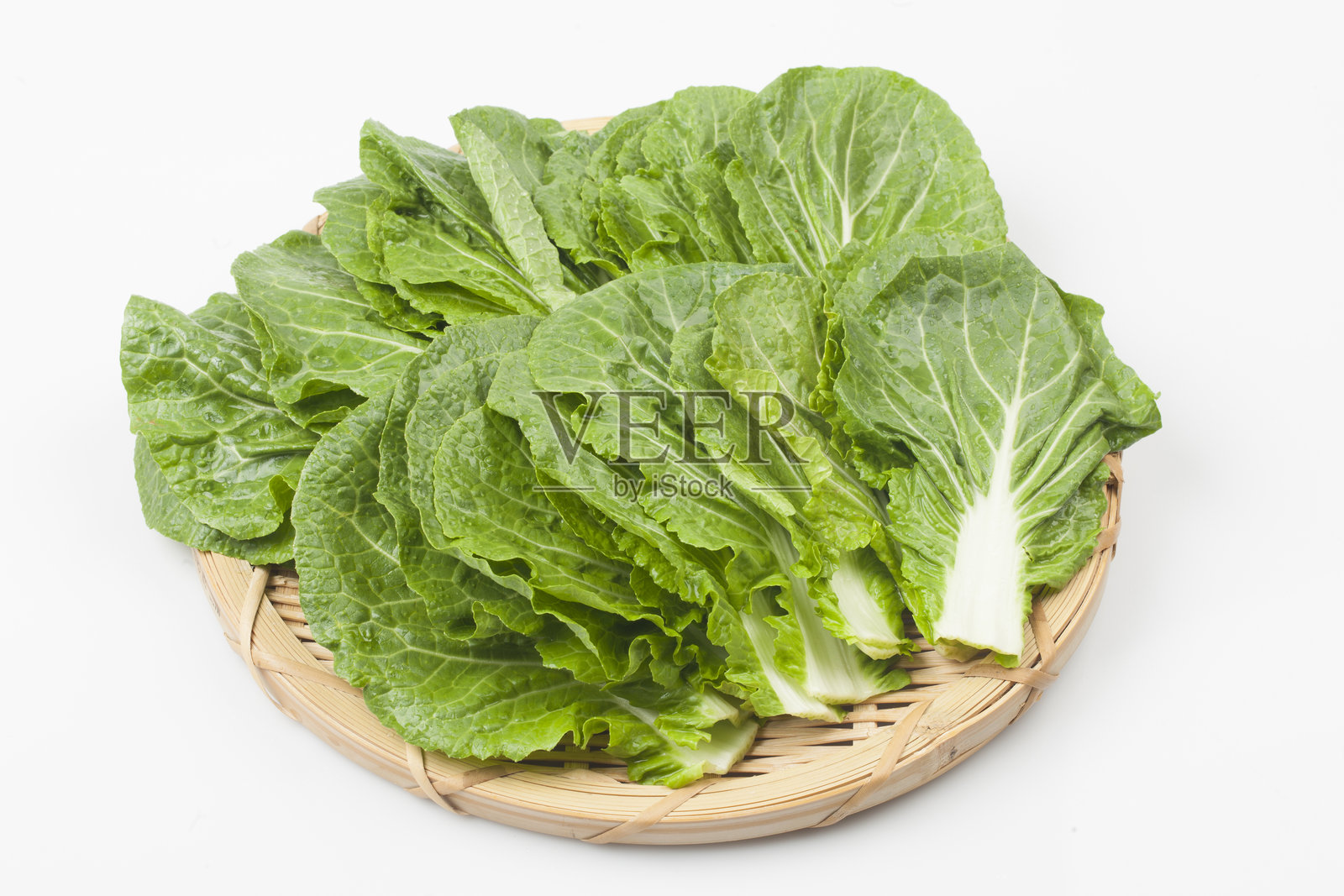 Ssamchu是一种通过交叉大白菜和卷心菜而创造的品种。照片摄影图片