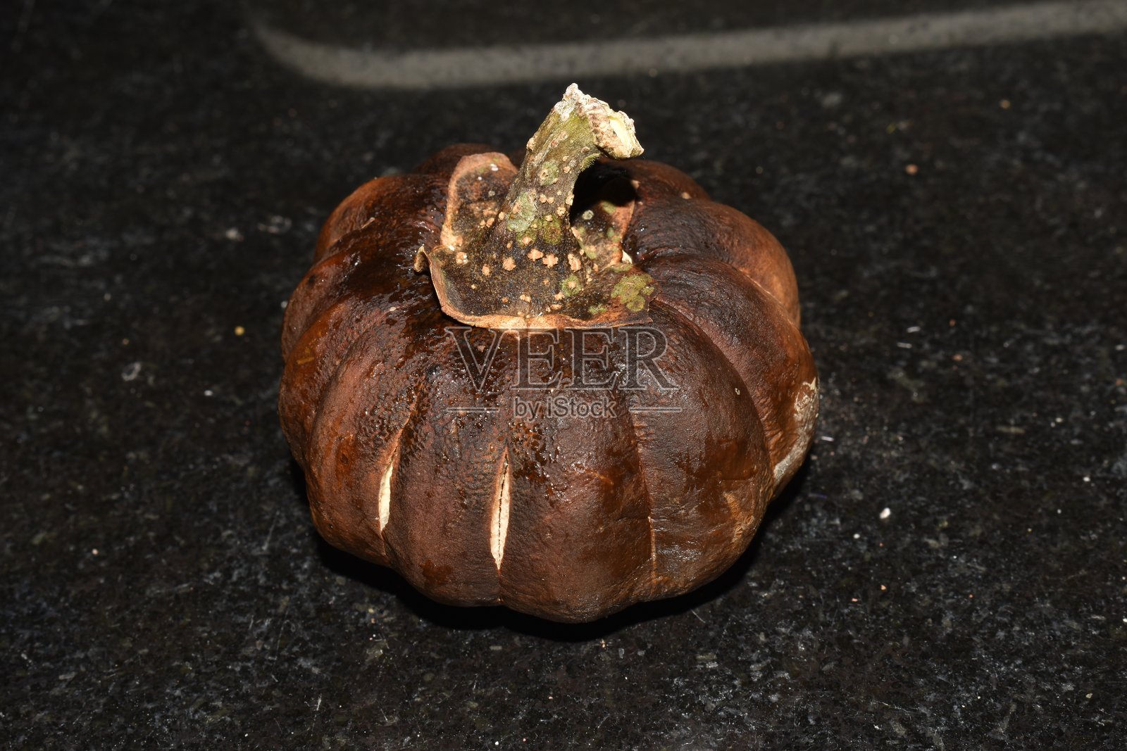 Hura crepitans(沙盒树)的果实照片摄影图片