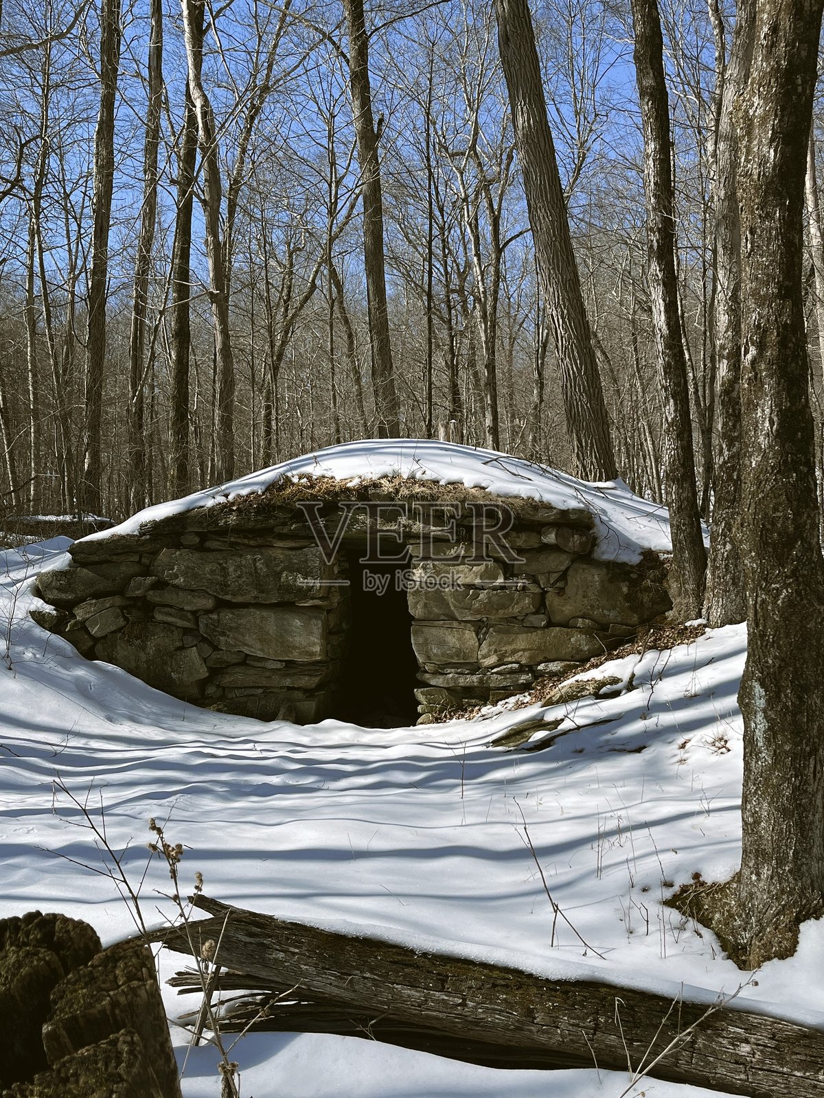 树林中的石屋照片摄影图片