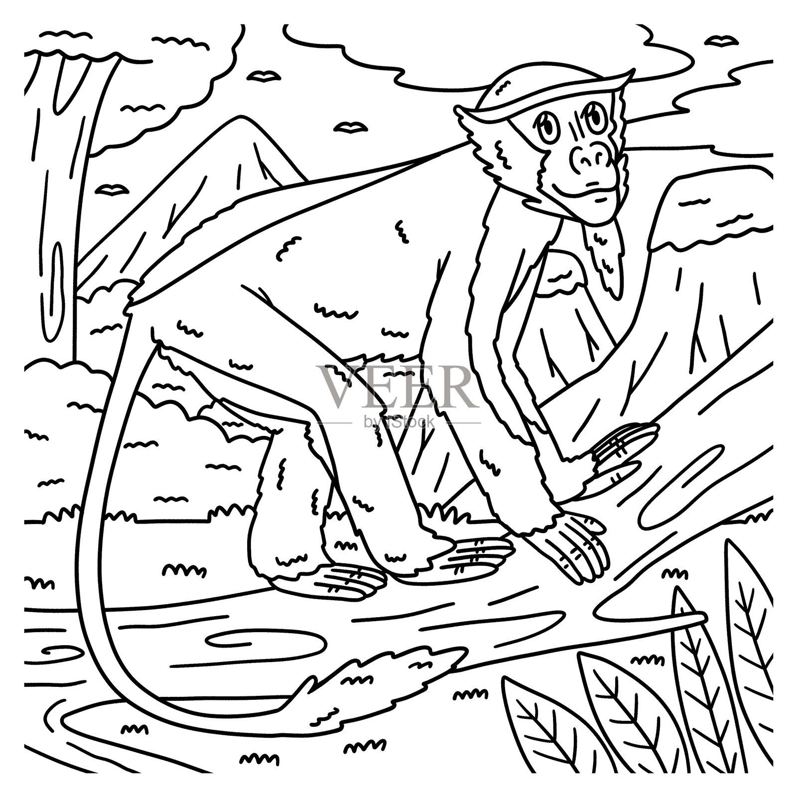 戴安娜猴子动物涂色页,适合儿童插画图片素材