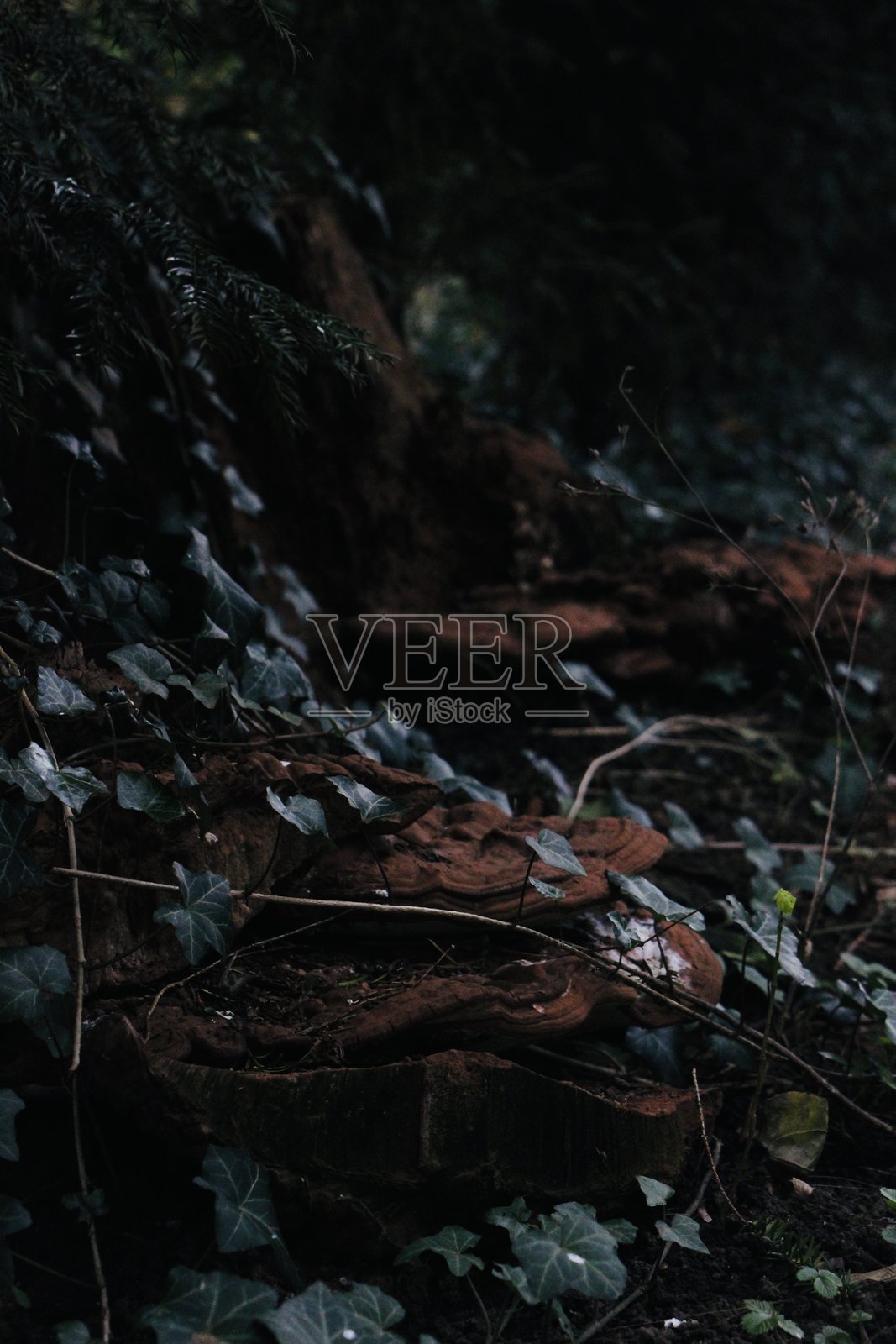 堕落者的生活照片摄影图片