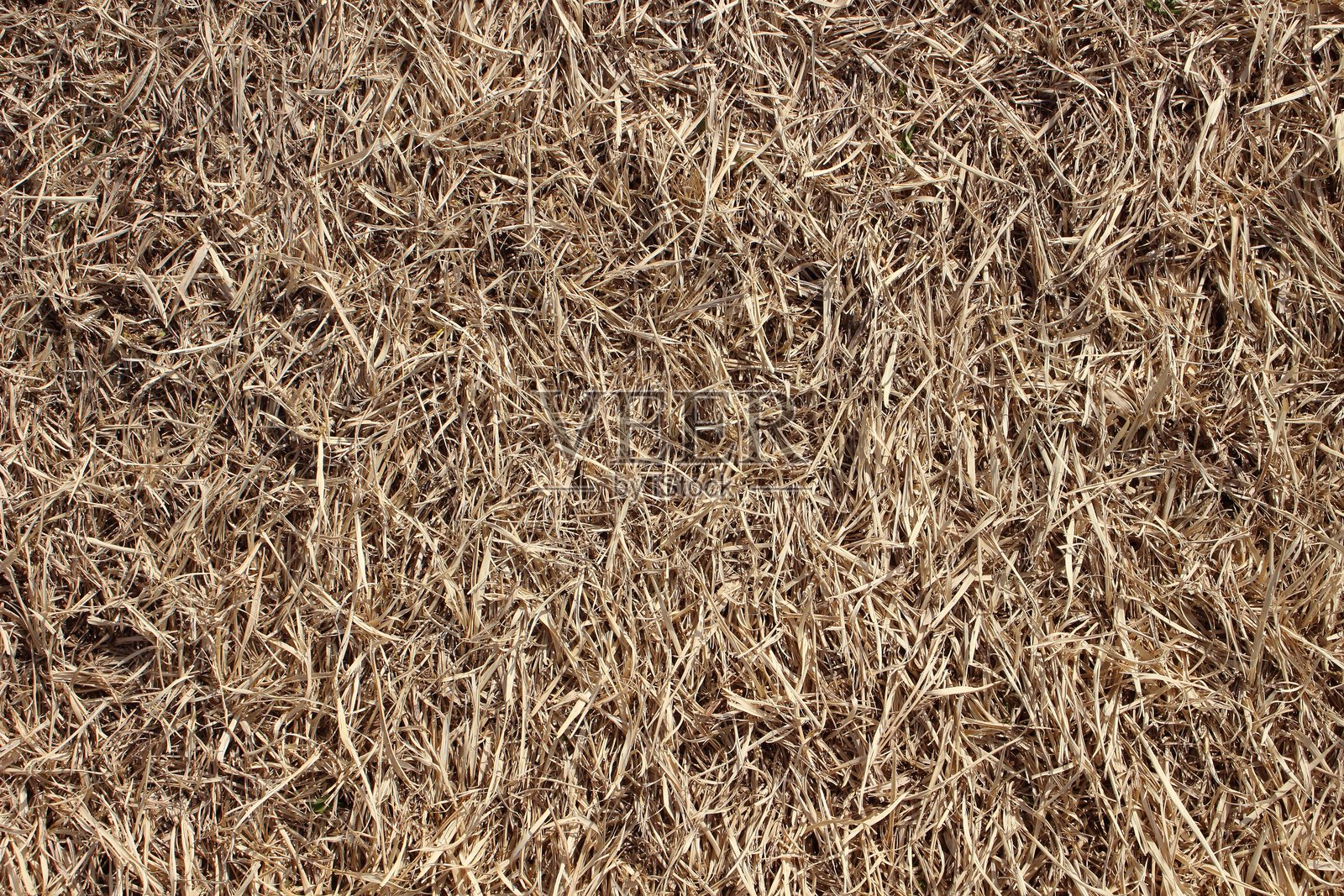 干燥的草原地面,自然严酷与美丽的象征照片摄影图片