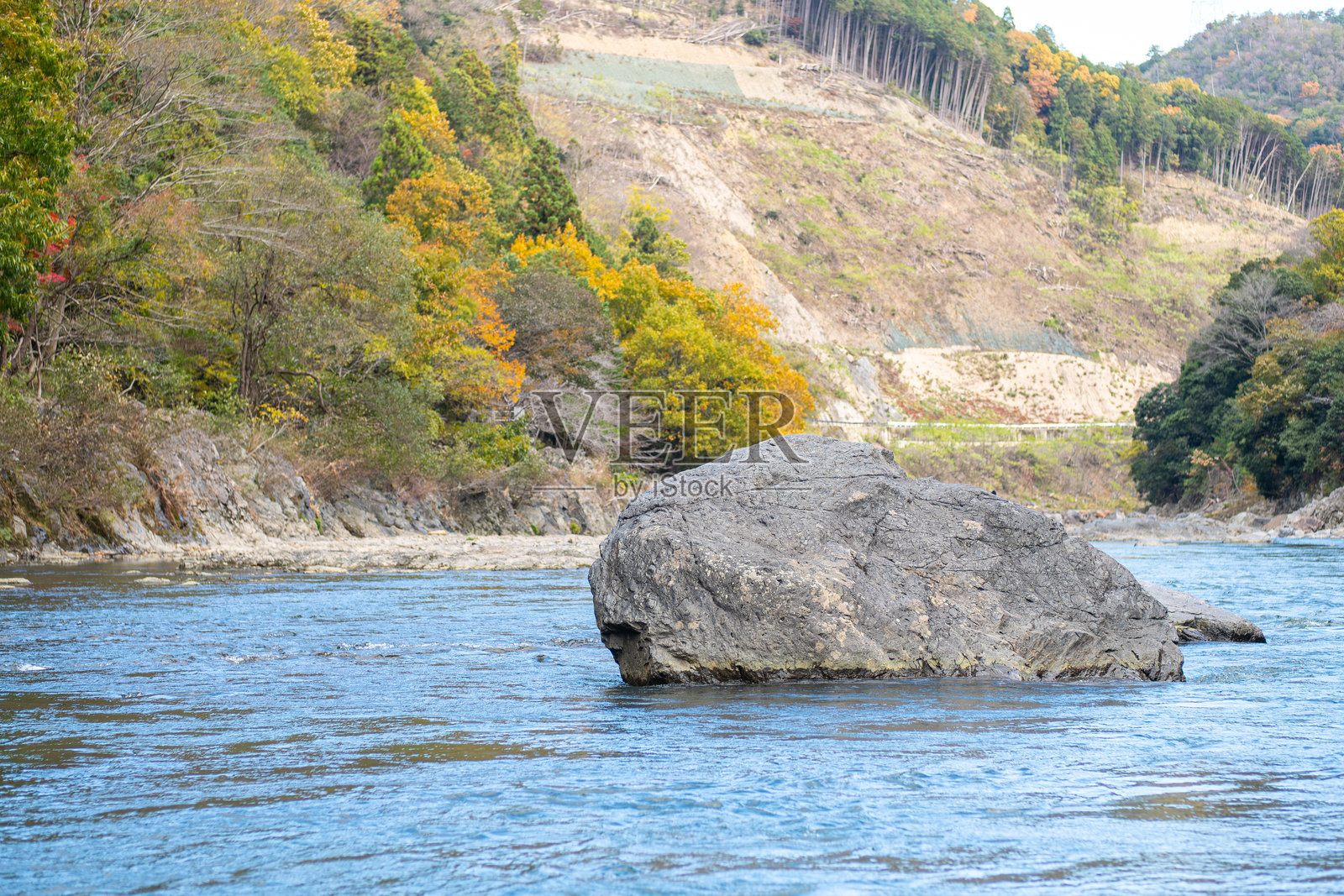 在保津川被秋季树叶环绕的宁静河流中的岩石照片摄影图片