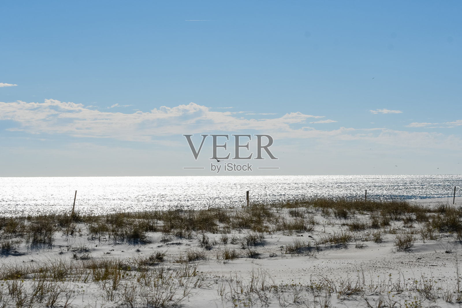 海滩的冬天照片摄影图片