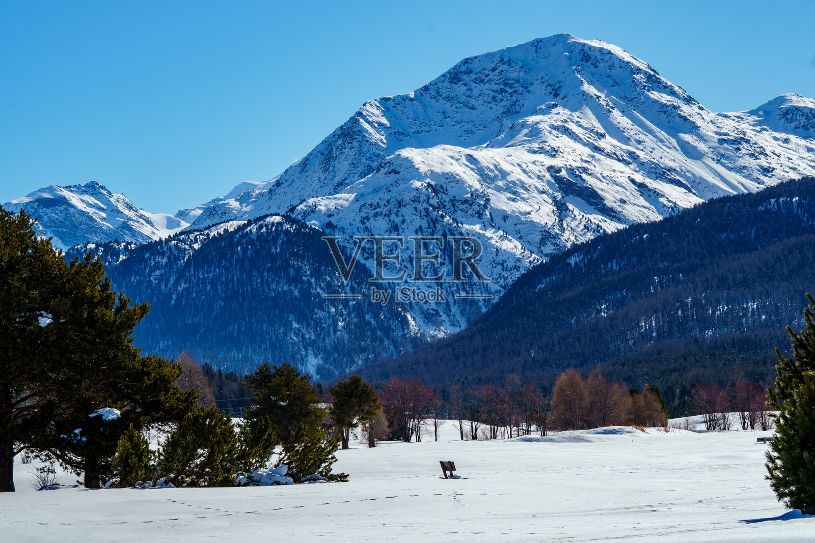 瑞士上恩加丁地区的塞勒里纳-施拉里尼亚冬季运动度假村附近的雪覆盖山峰照片摄影图片