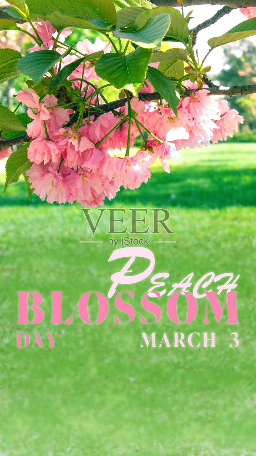 桃花节海报。三月三日照片摄影图片