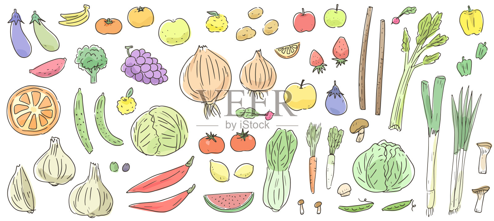 手绘矢量插图集,包含蔬菜和水果。水彩风格的线条绘制农作物图标。插画图片素材