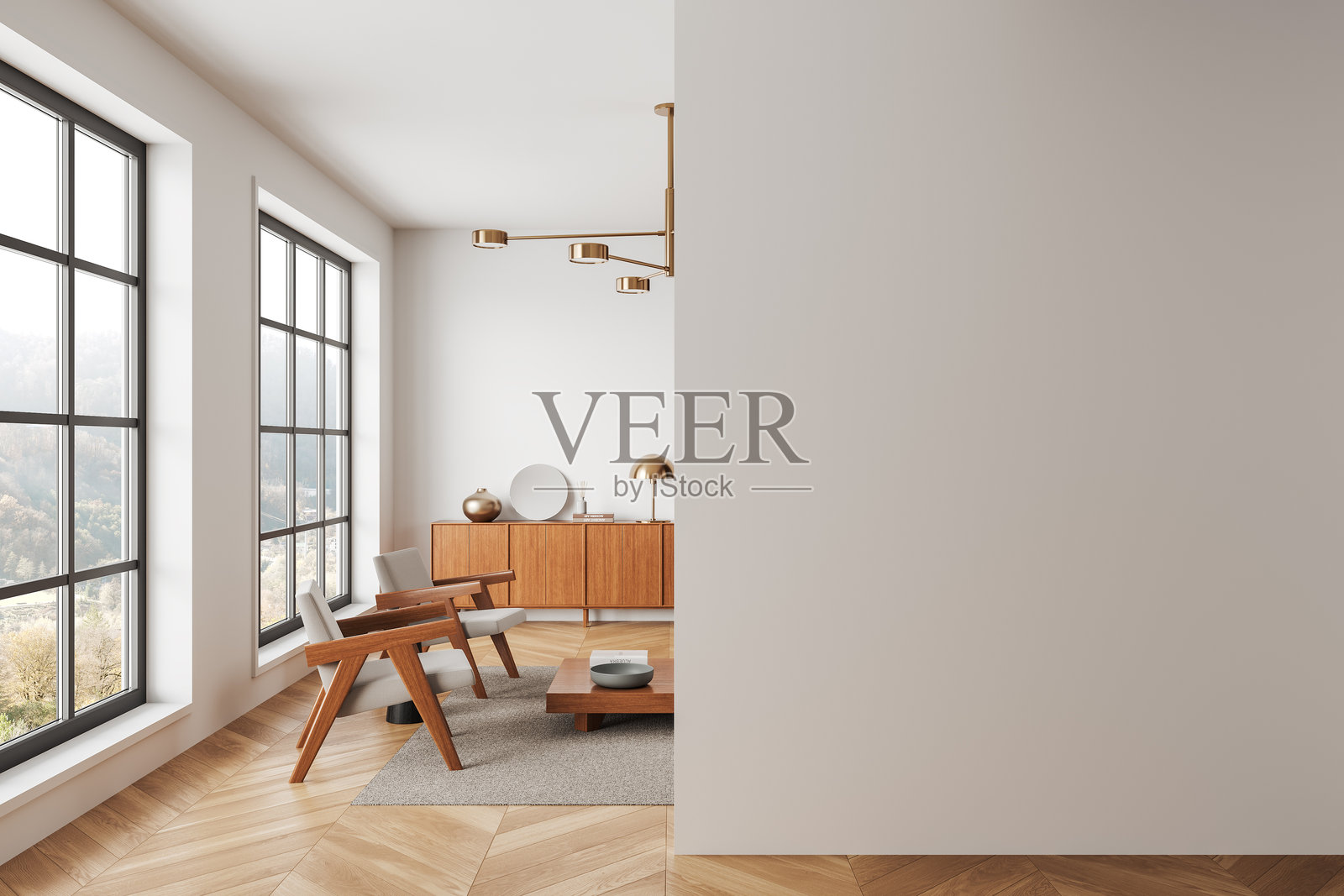 现代客厅,空白墙面用于设计展示。3D渲染照片摄影图片