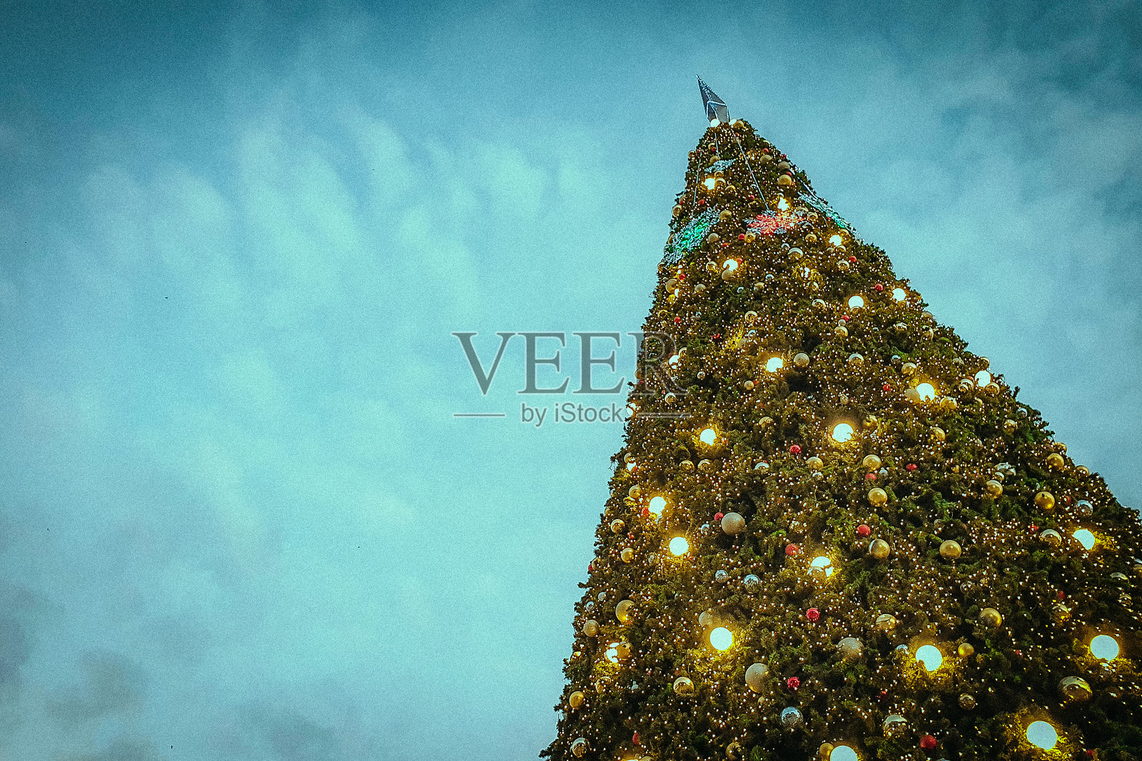 黄昏时分照亮的壮丽圣诞树照片摄影图片