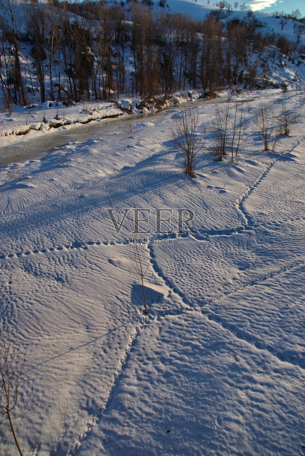 动物在日落时分沿着冰冻河流的雪地上留下的足迹照片摄影图片