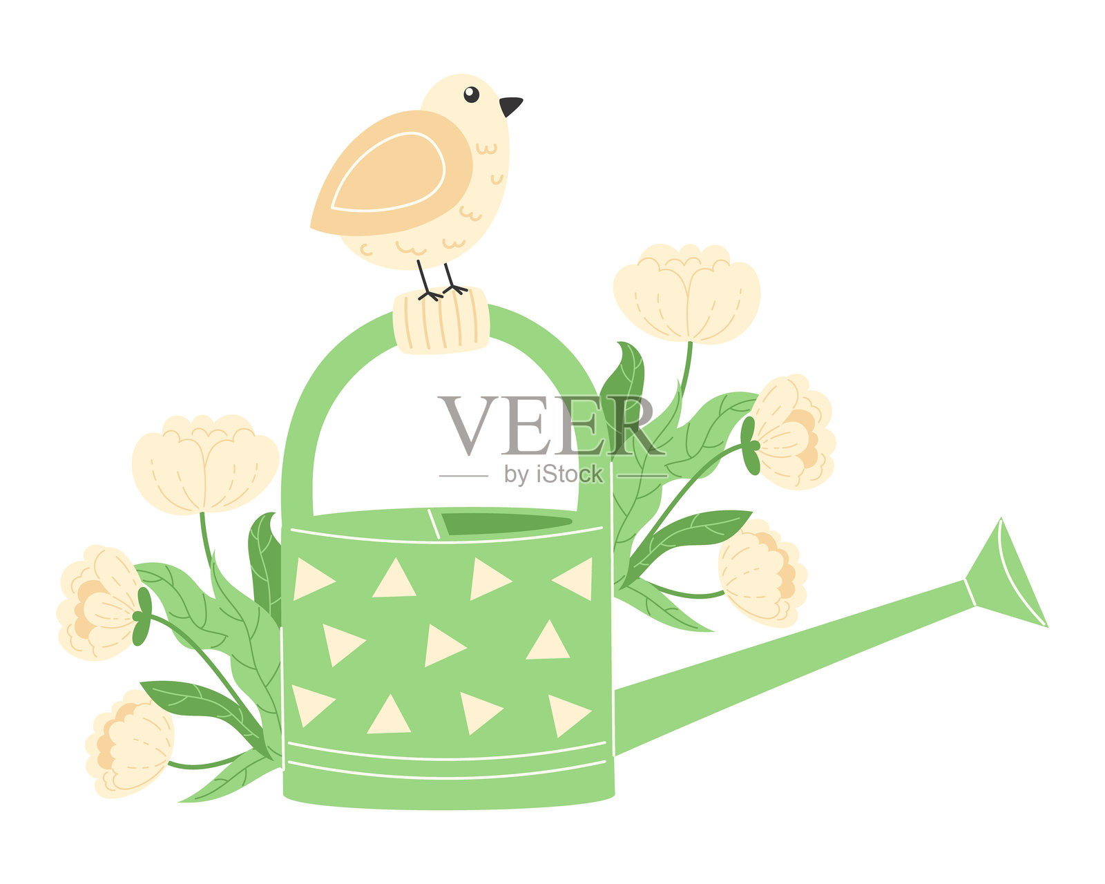 小春鸟栖息在绿色花园浇水壶的把手上,周围是白色牡丹花和几何图案。插画图片素材