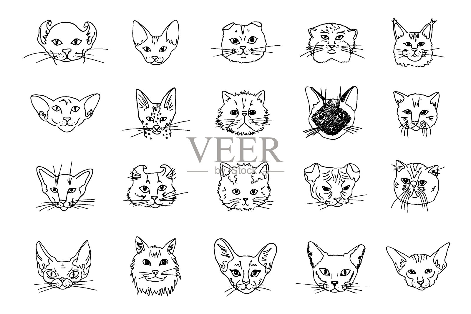 猫咪肖像插画图片素材