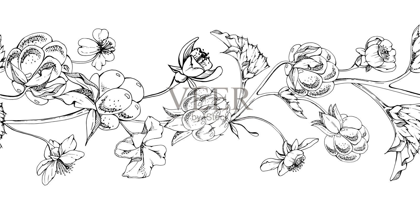 云莓和覆盆子,带有白色花朵和秋天的叶子,手绘矢量墨水,成熟的森林浆果在茎上。无缝横幅花环插图。餐厅、咖啡馆菜单、婚礼、农贸市场。插画图片素材