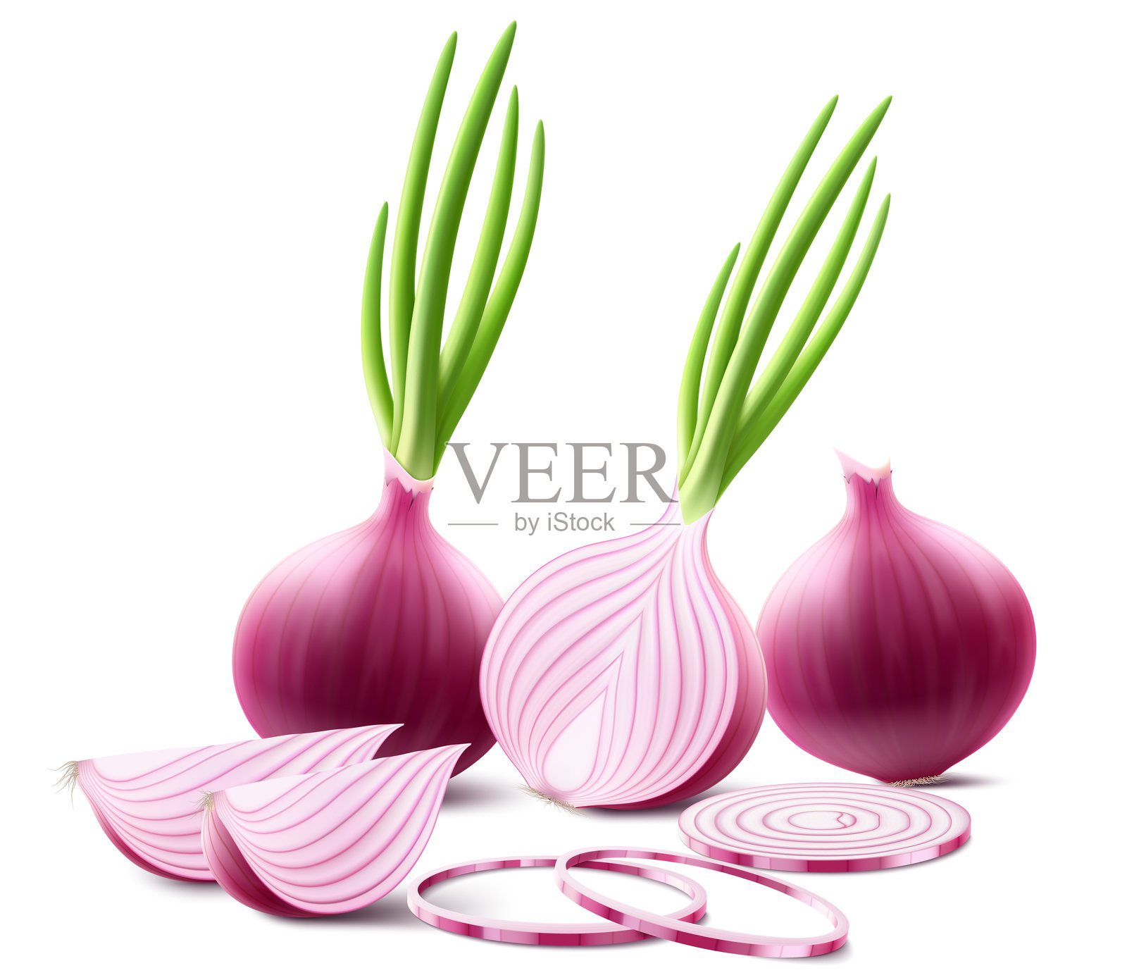 整颗、半颗和切片的新鲜洋葱。成熟的红洋葱与绿色羽毛的组合,背景透明。健康食品。天然蔬菜。逼真的3D矢量插图。插画图片素材