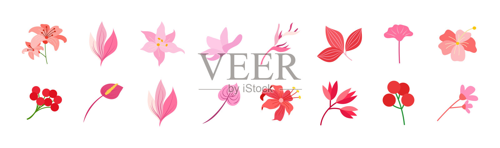 粉色花卉插图元素集插画图片素材